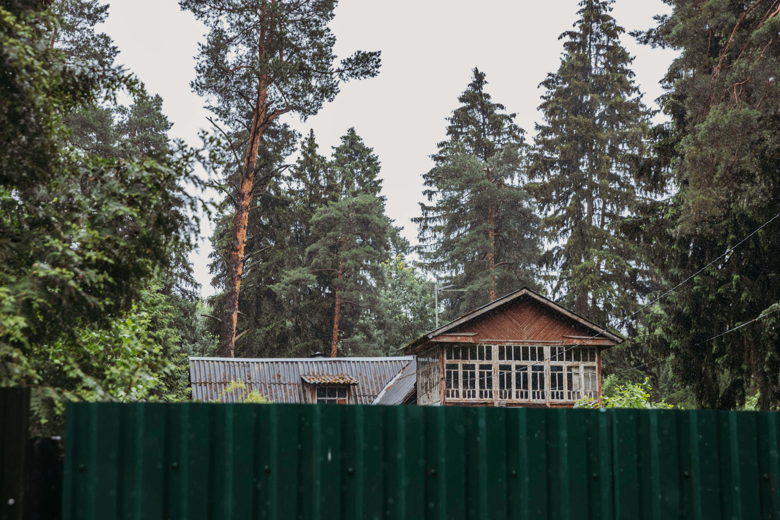 Родные люди «На дачу к Дмитрию Абрикосову». Леся Гаранина. Семейный фотограф/видеограф Москва и область