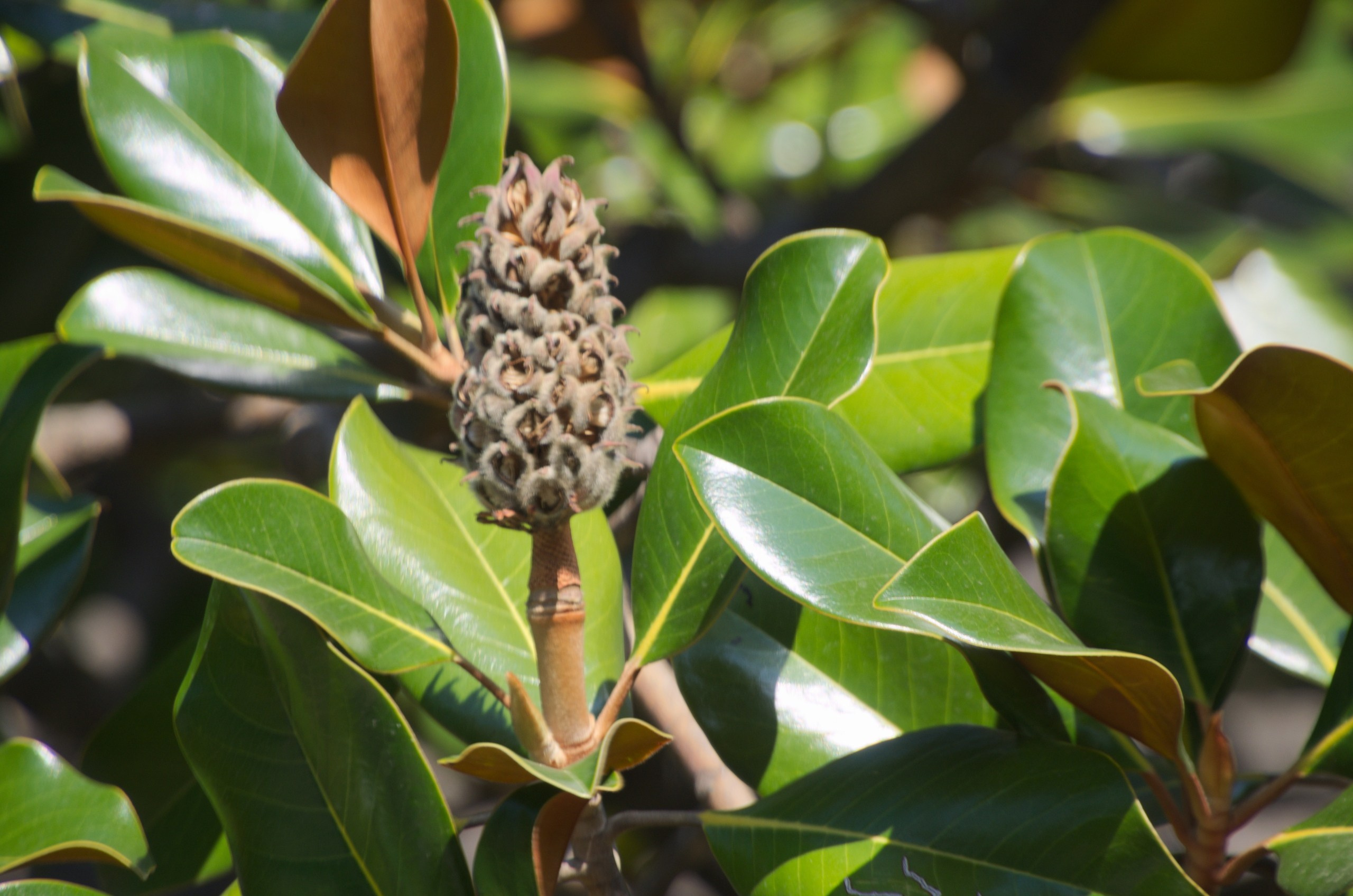 Сочи | 05-06.10.2019. Галерея Фантим