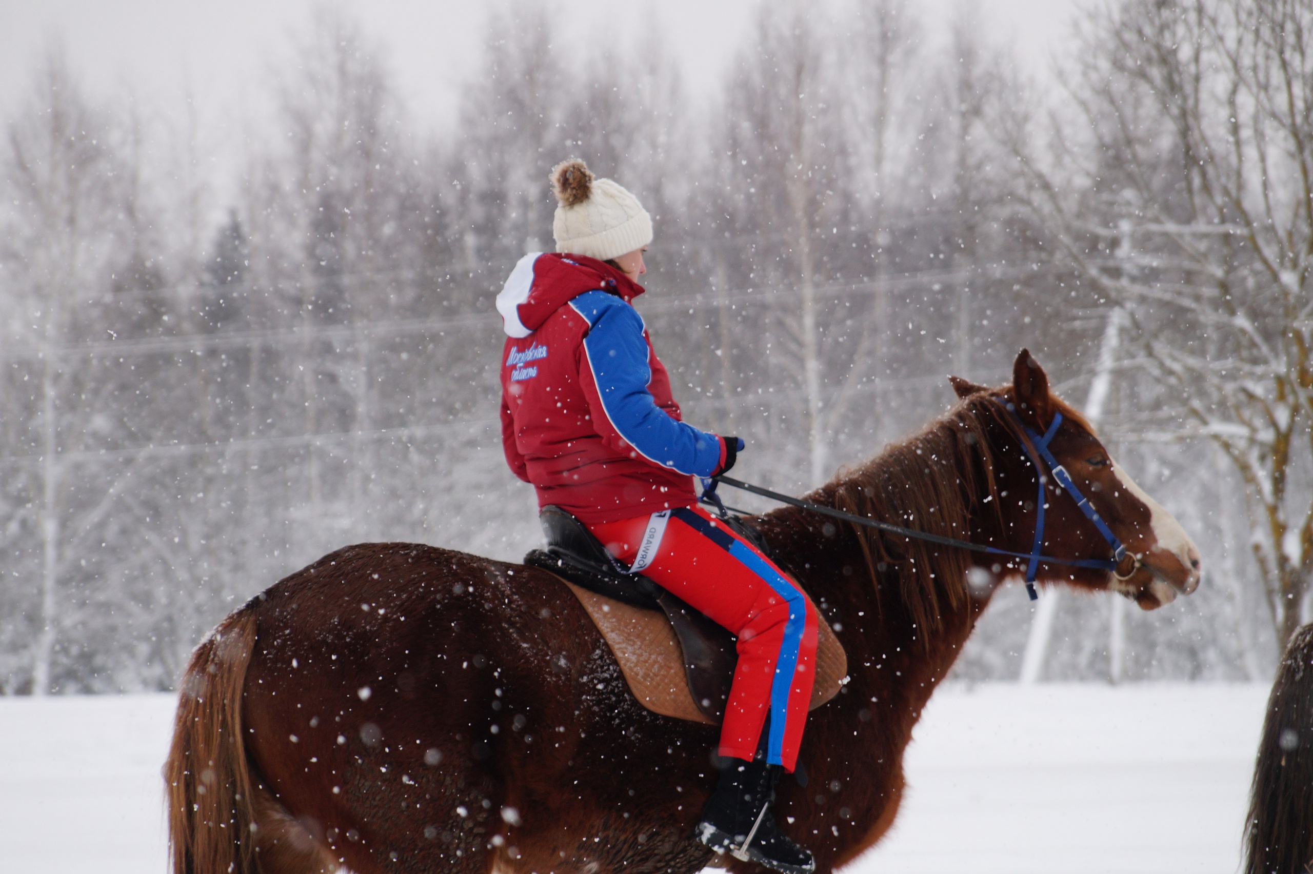 Лошадинг | 11.01.2026. Галерея Фантим