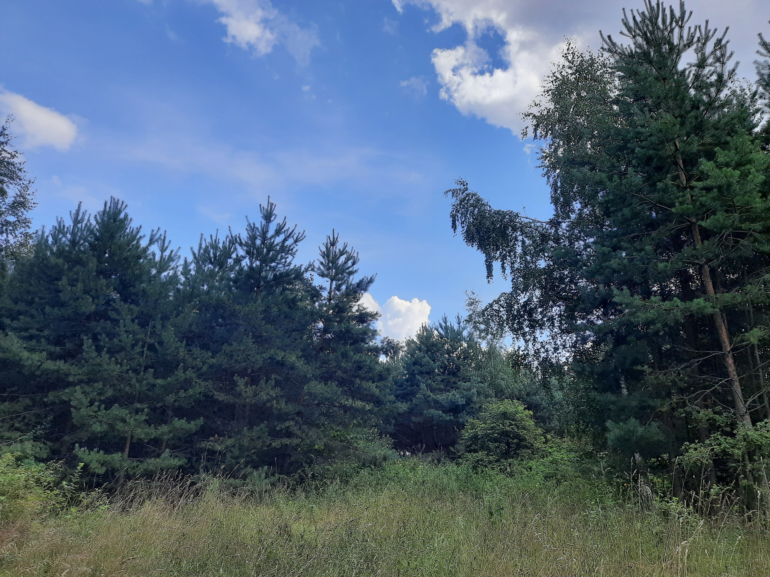 Походная Романтика 37. В Пятнице — петь! | 2021. Галерея Фантим