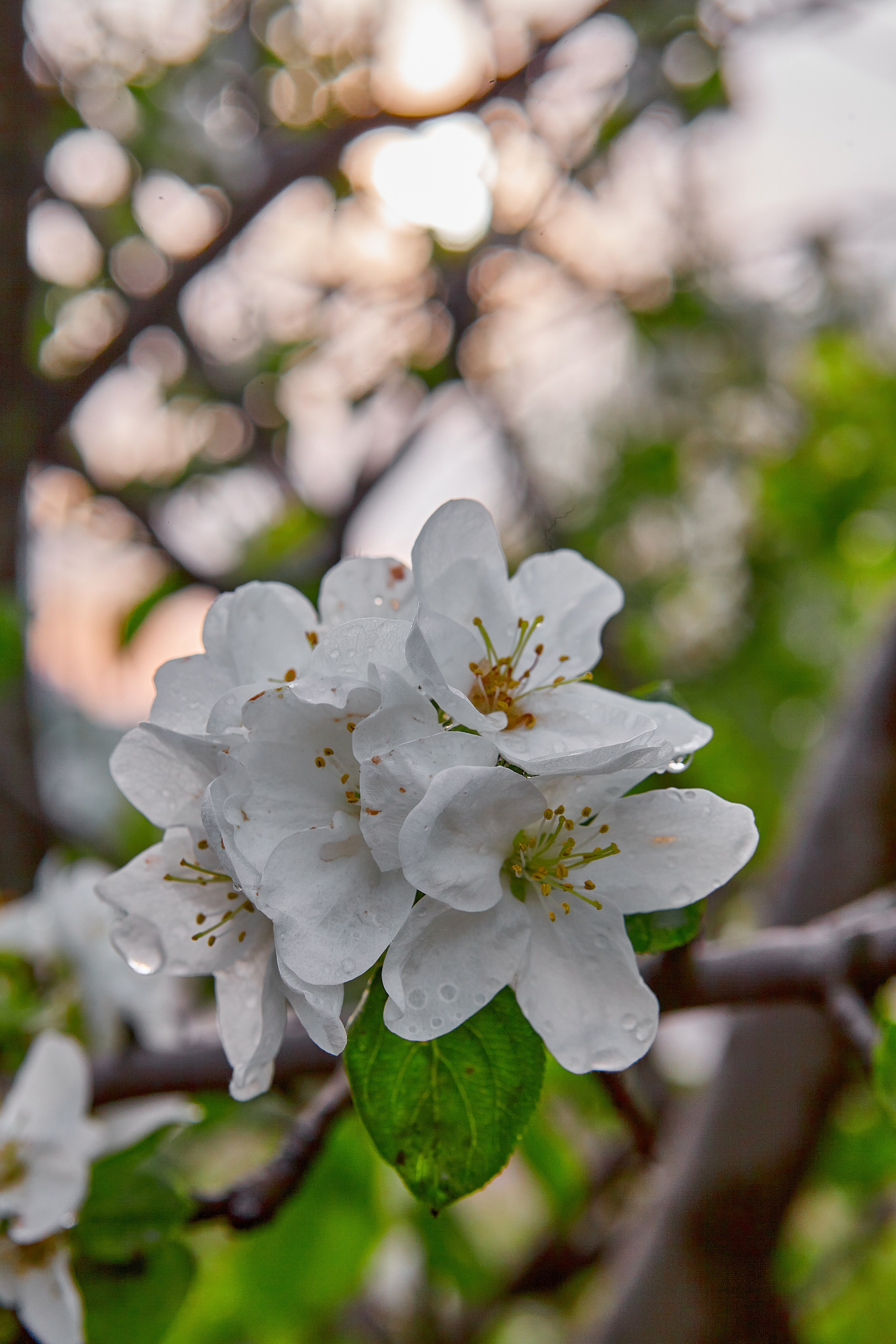 Фотографии природы