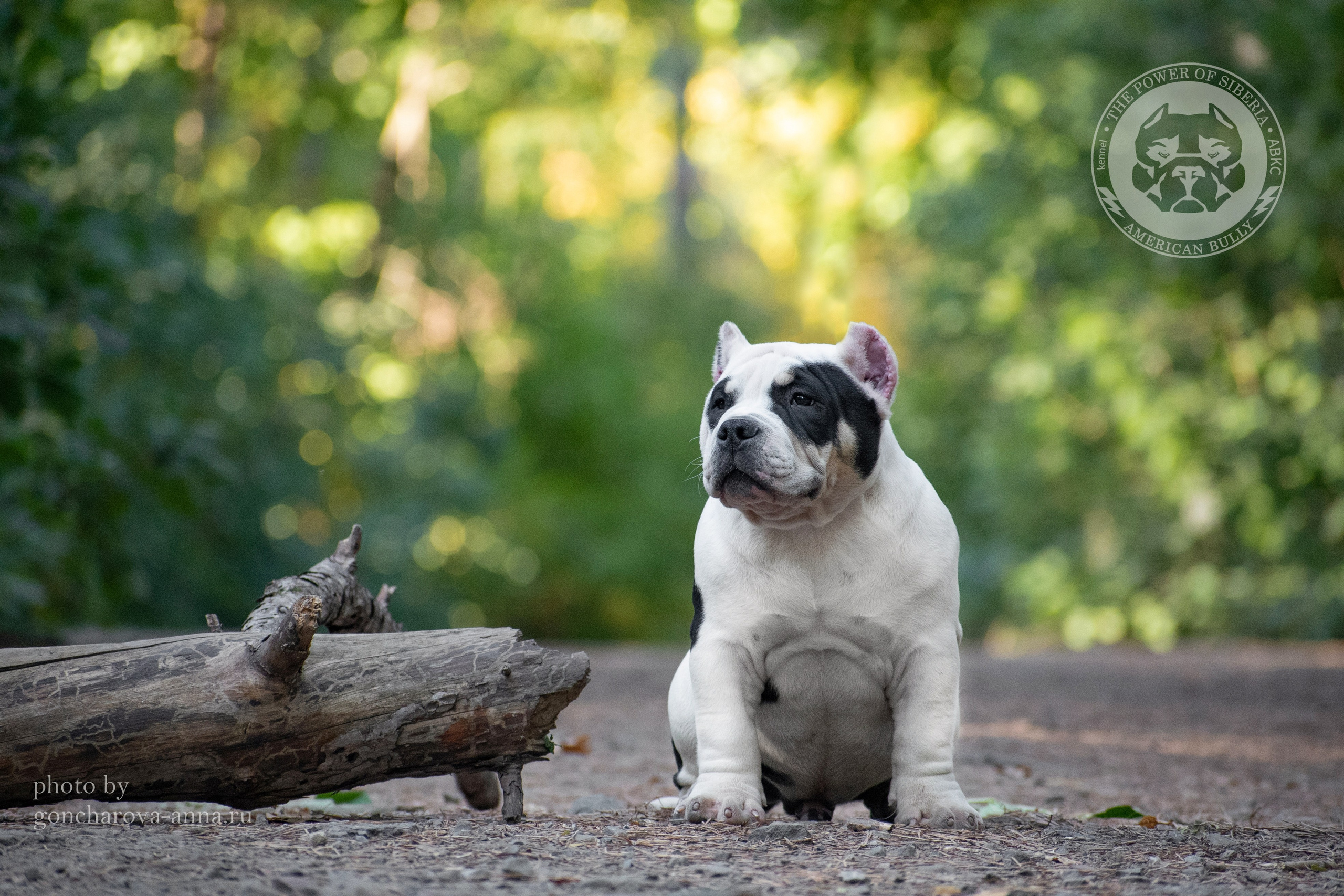 Фотопрогулки. Фотограф анималист в Ростове I Гончарова Анна