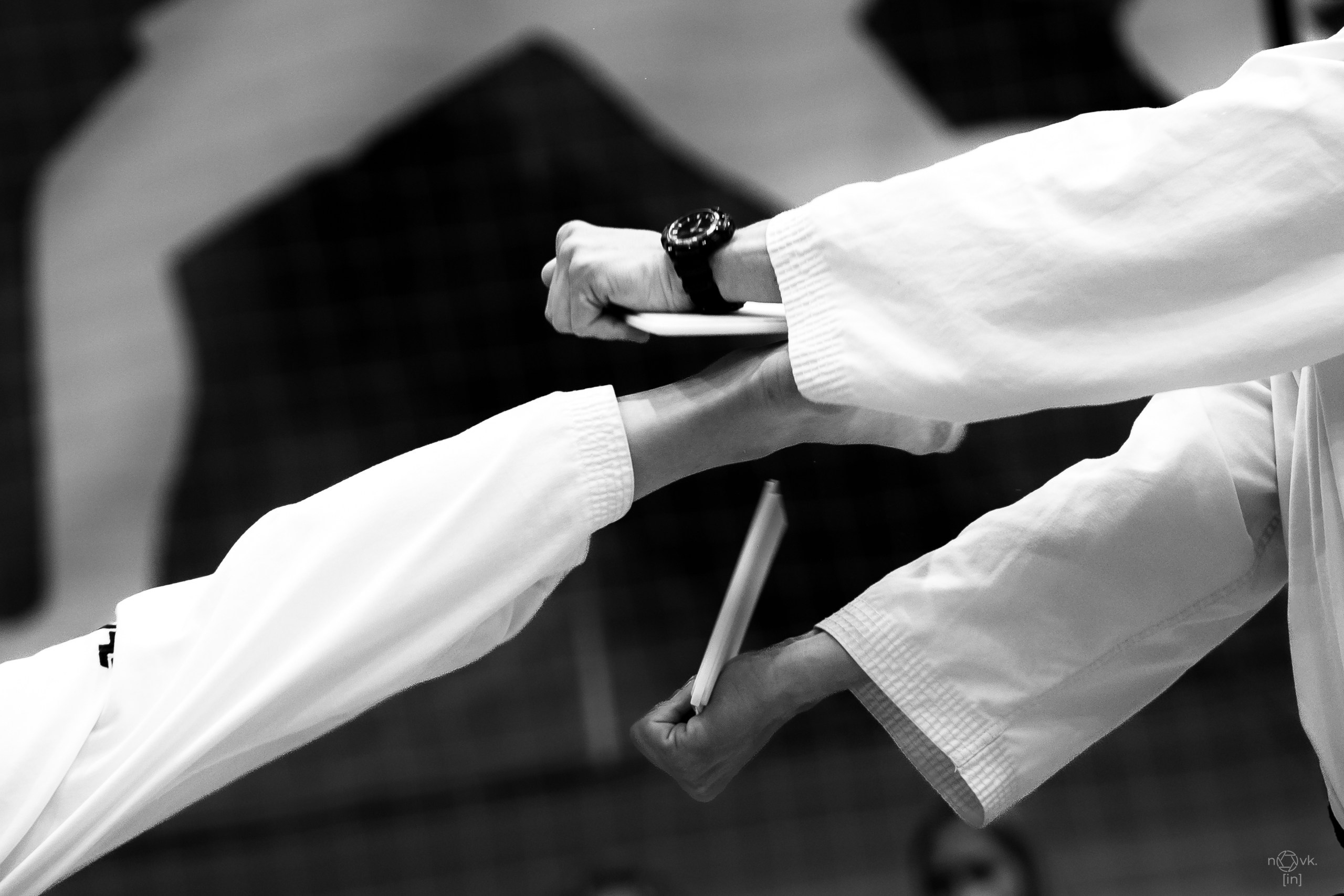 Юг-Арена. ФОТОГРАФ ИВАН НОВИКОВ | СТАВРОПОЛЬ