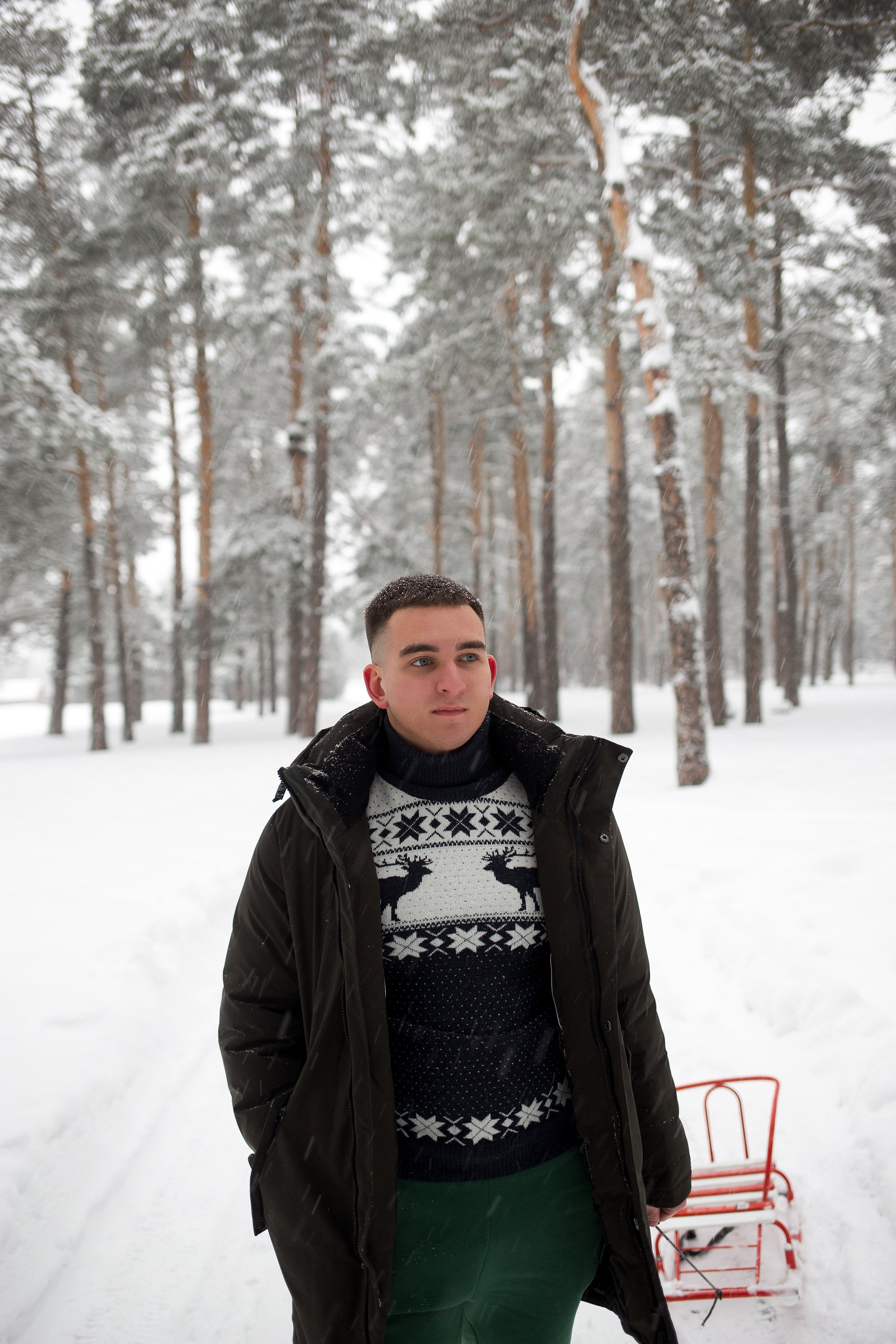 NEW YEAR. Фотограф | Москва