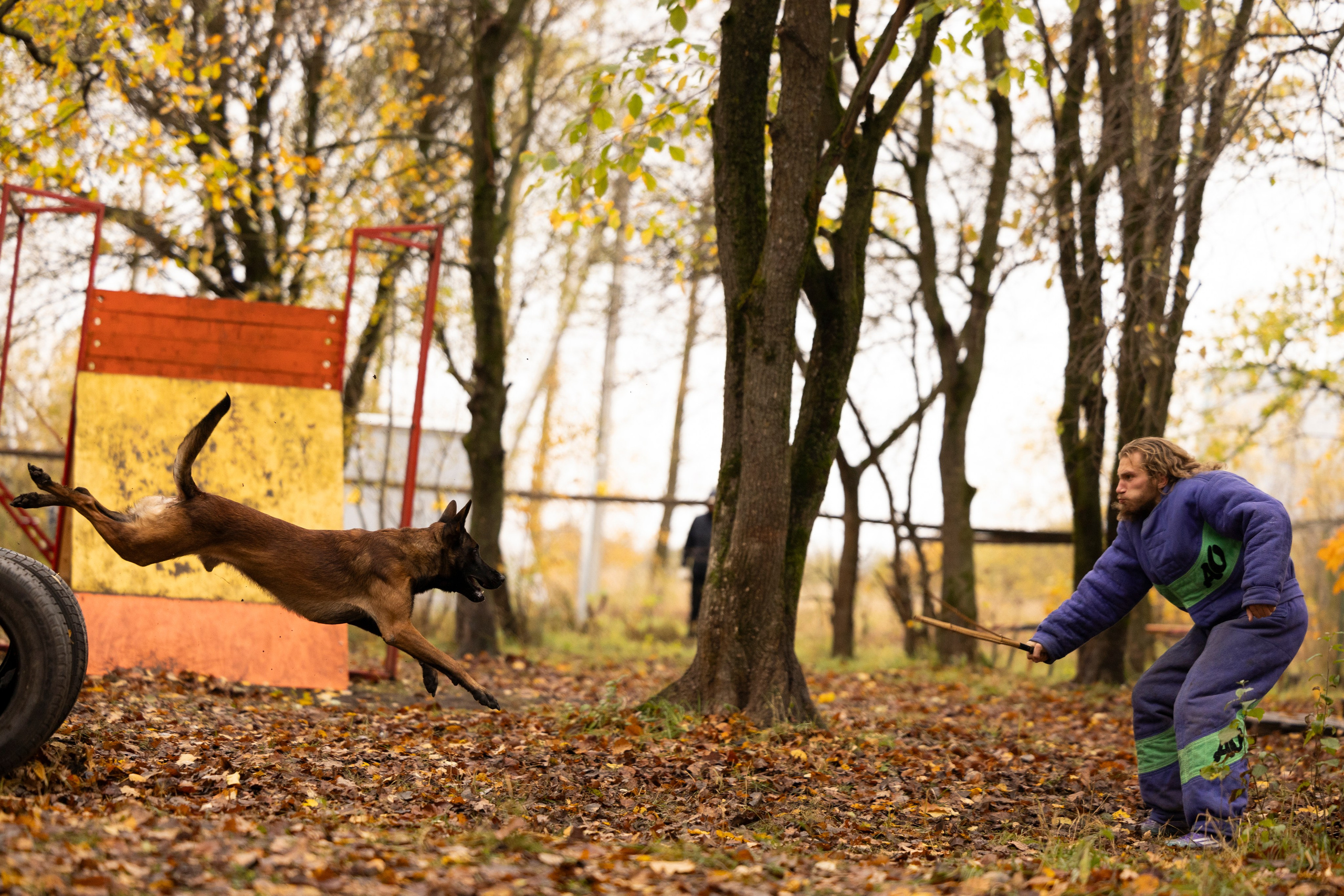 Соревнования по Мондьорингу г. Вологда. Фотограф-анималист Анна Маринич