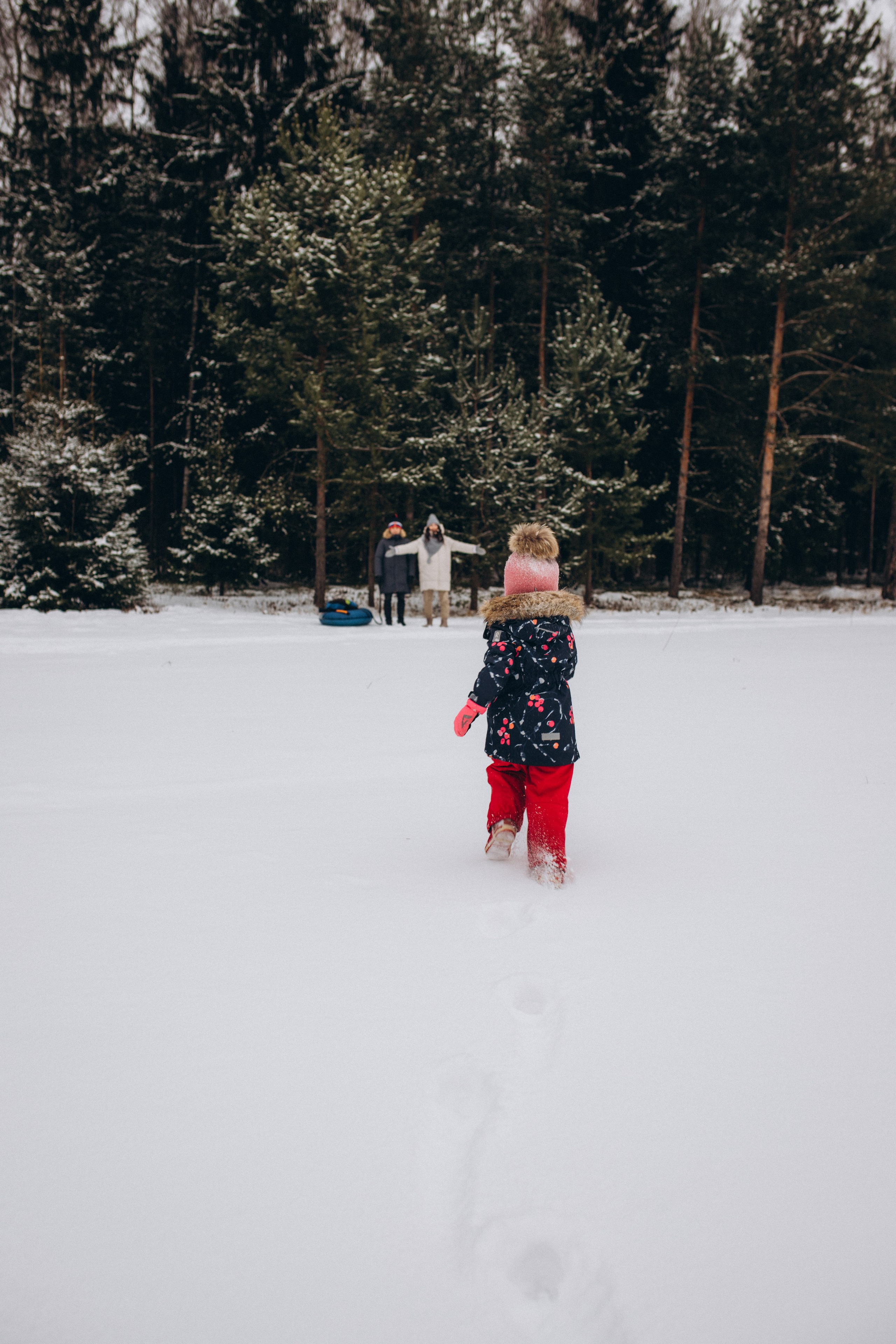 Зимняя прогулка. Фотограф Винокурова Кристина в Санкт-Петербурге