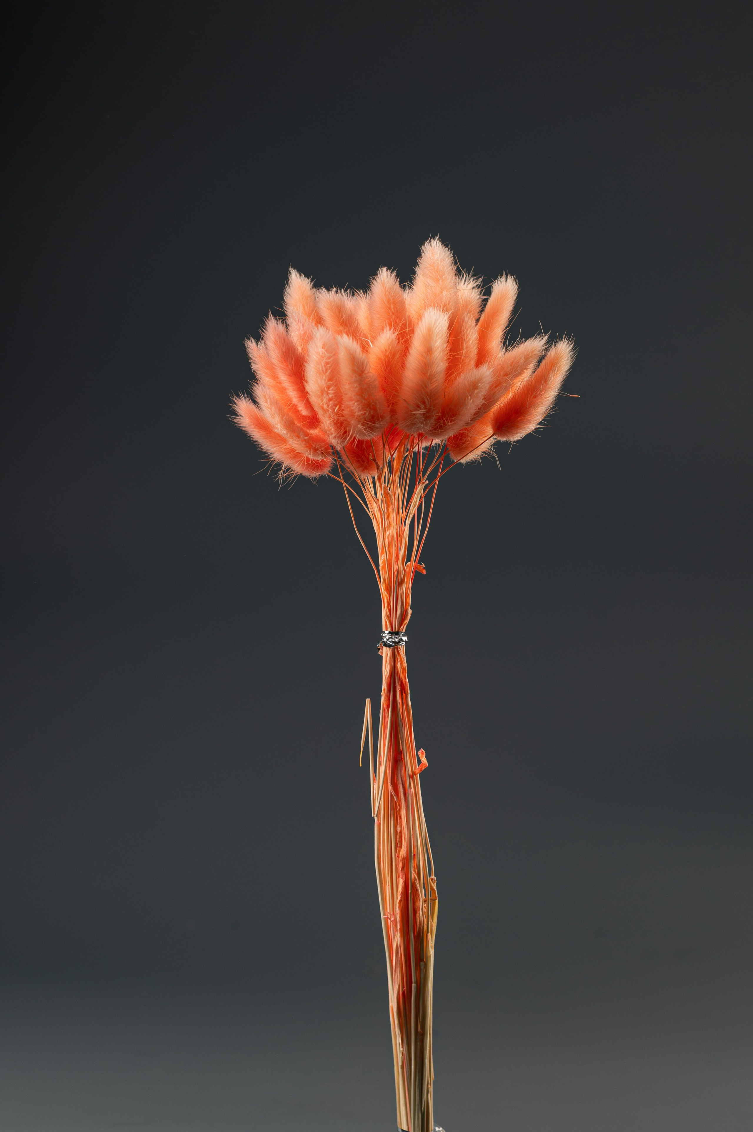 Предметная съемка. ФОТОГРАФ КРАСНОДАР КРАСНОДАРСКИЙ КРАЙ