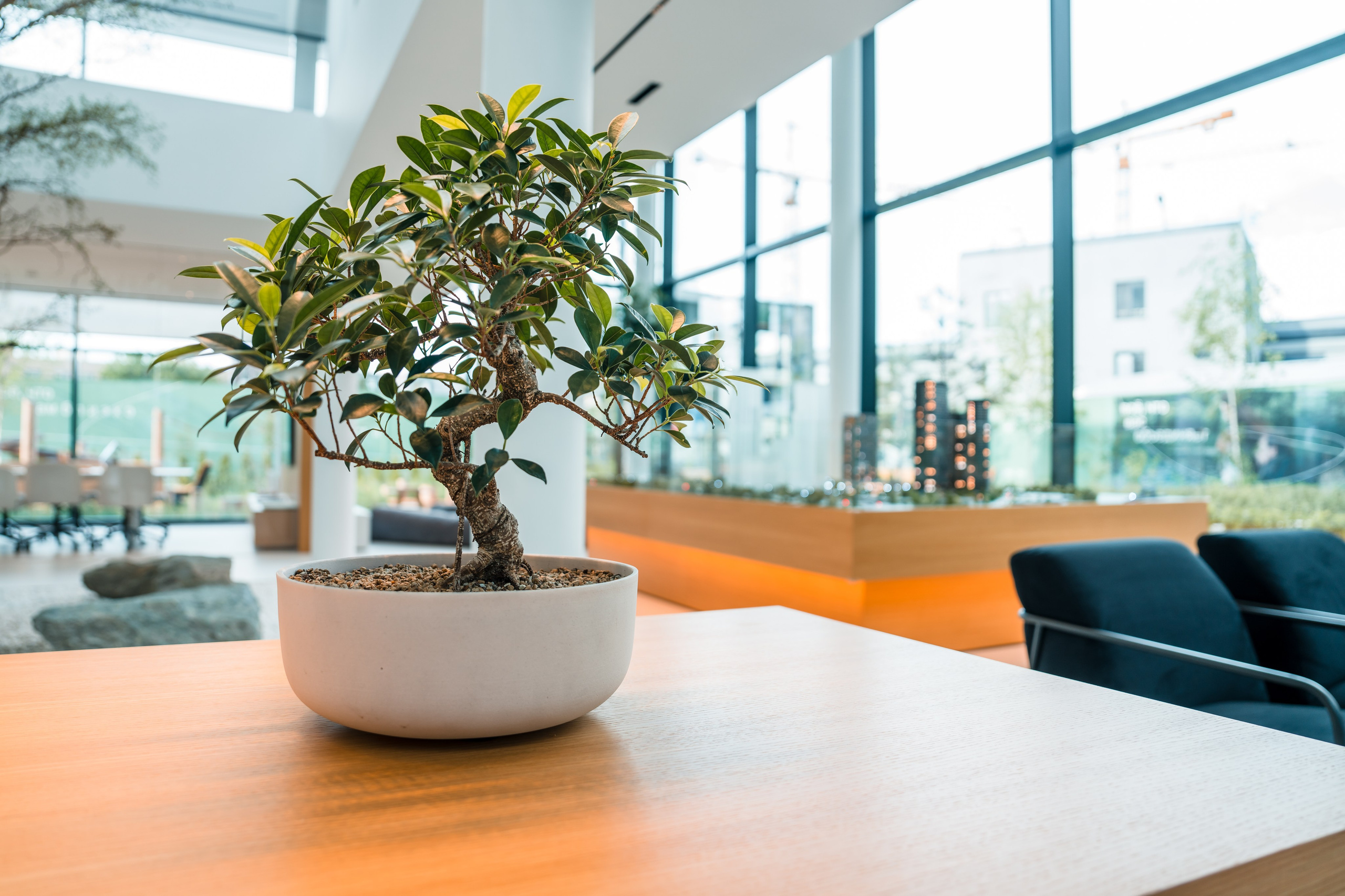 Moments, FORMA. @tomrus: Рустам Шагиморданов — фотограф