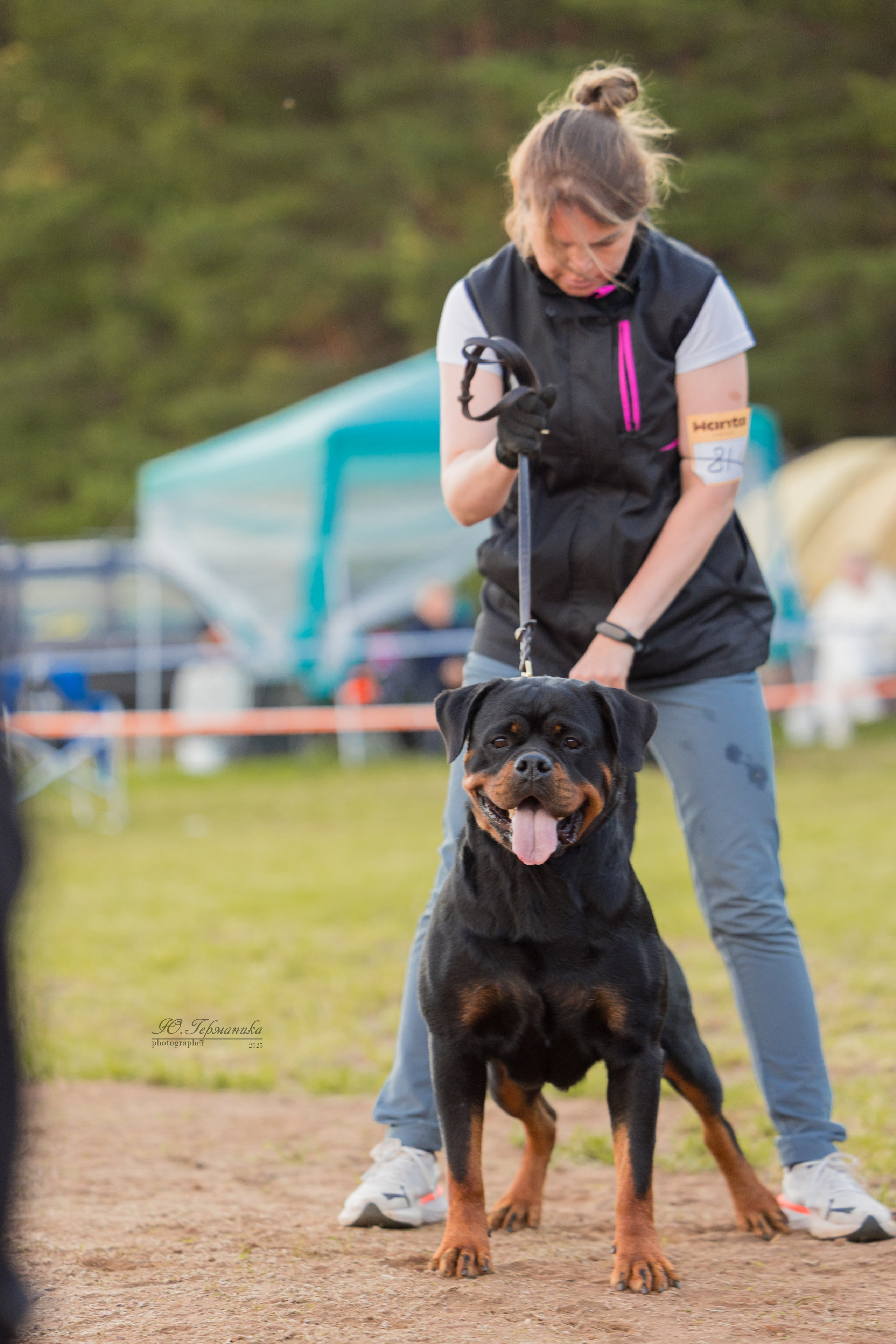 Тверь ротвейлеры 5-6.07.2025. Фотограф-анималист Юлия Германика