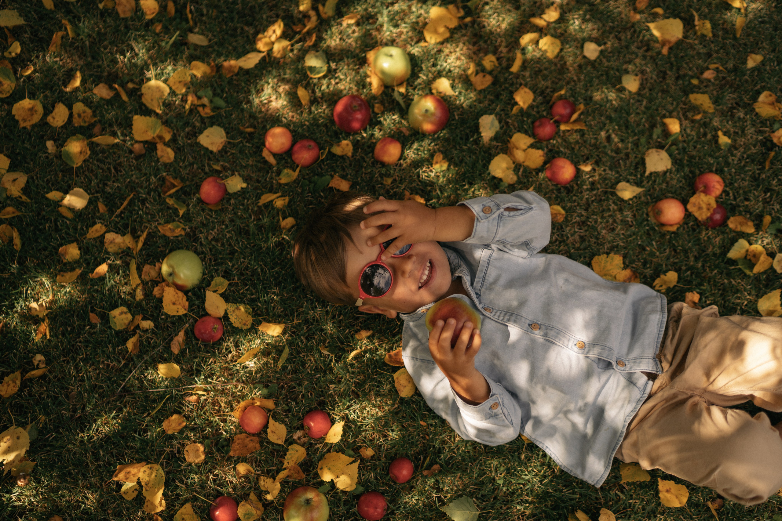 Яблочный Спас. Семейный и детский фотограф Москва Дарья Бугра