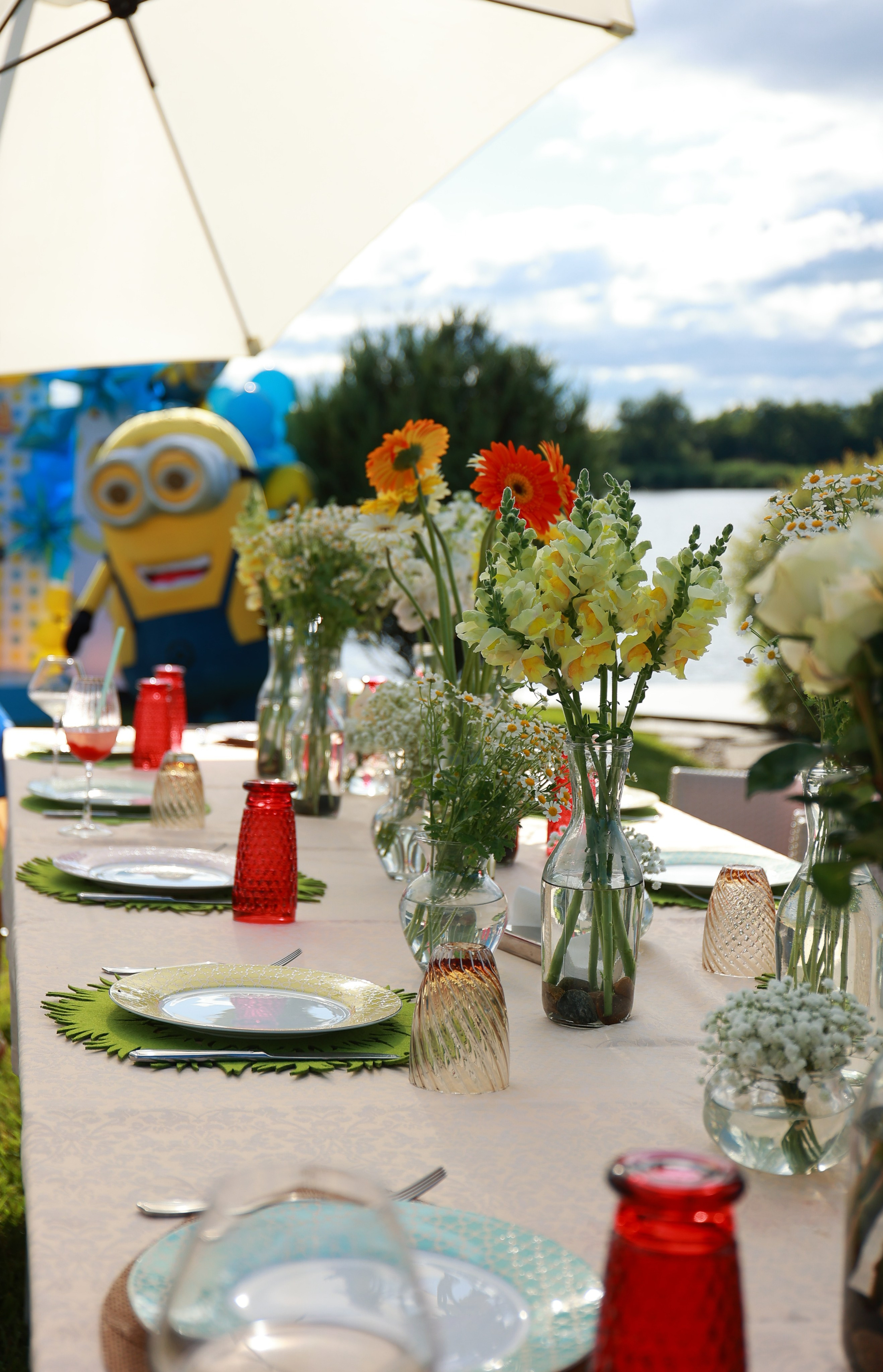 Миньоны. Детский семейный фотограф Краснодар