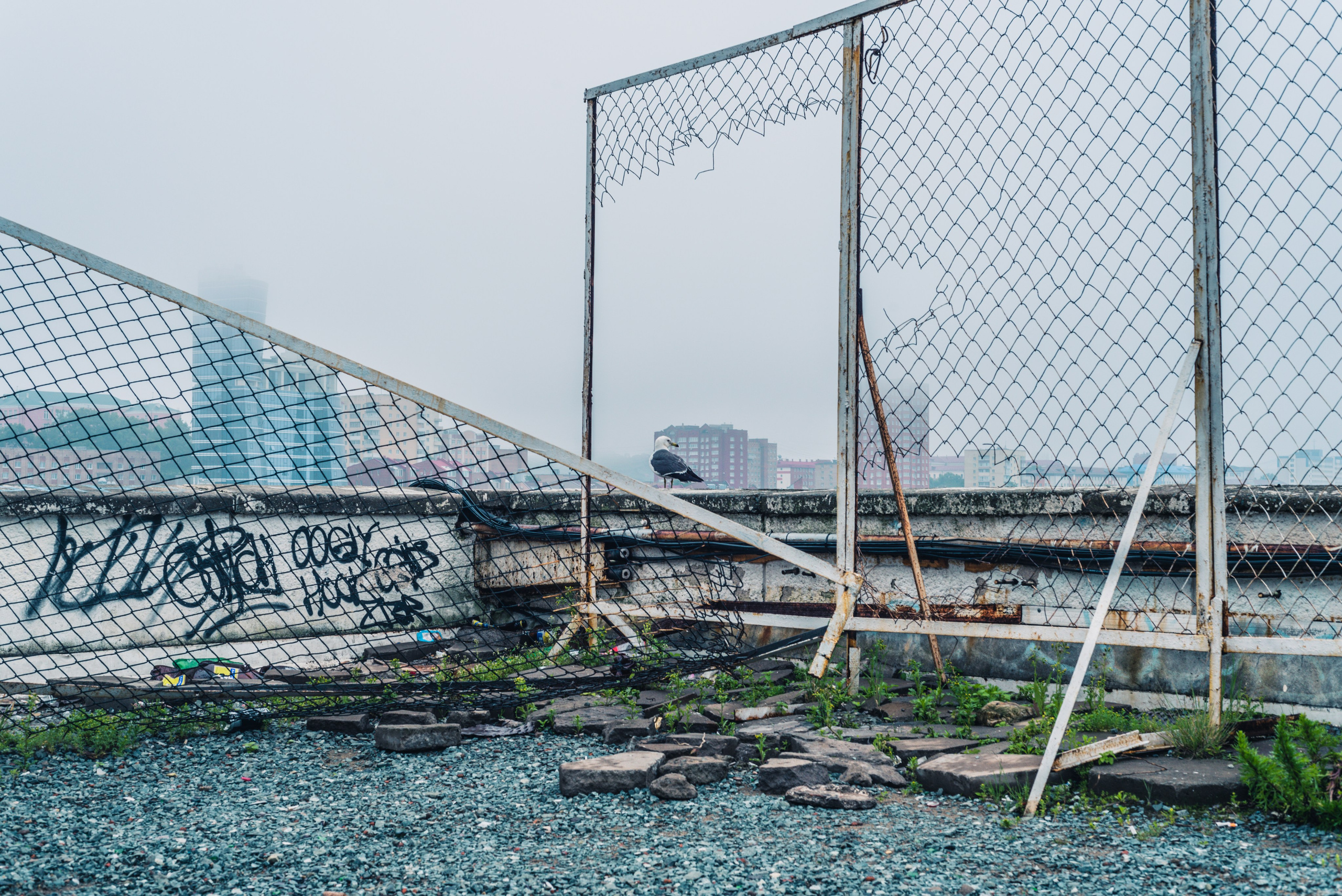 Путешествие рекламного фотографа из Гуанчжоу. Коммерческий и предметный фотограф в Гуанчжоу Коваленко Александр