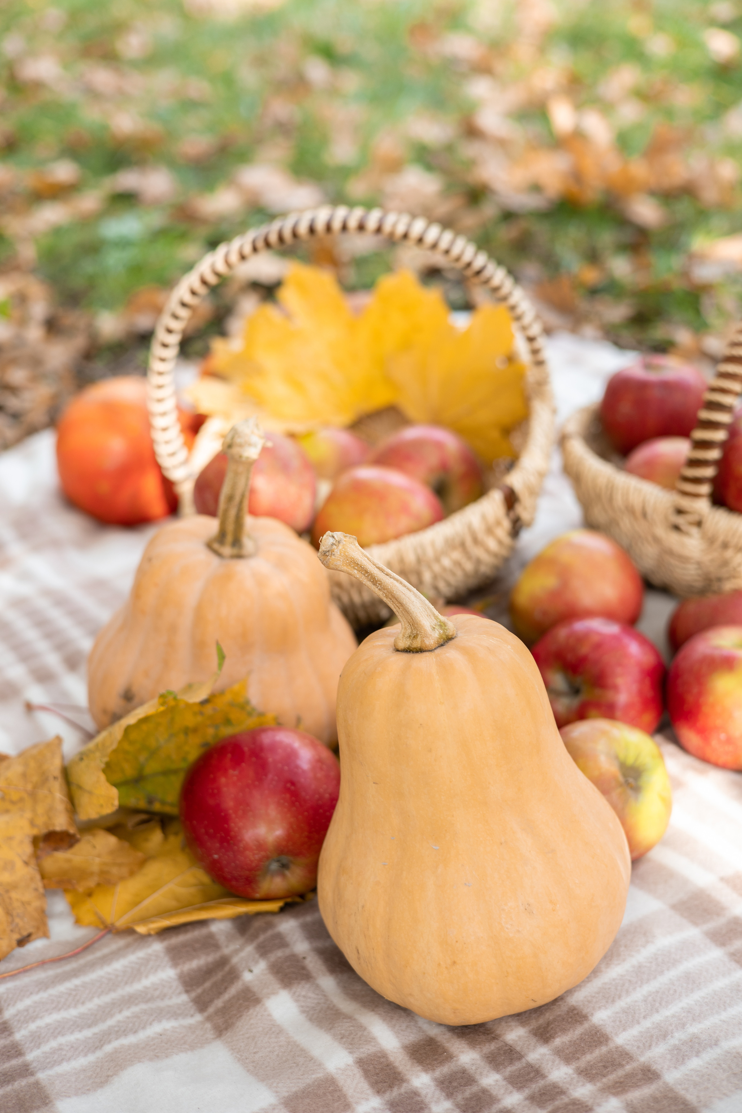 Осенние фото сессии Краснодар. SAAVIK design — Керамика \ Зефирная флористика \Handmade\ Краснодар