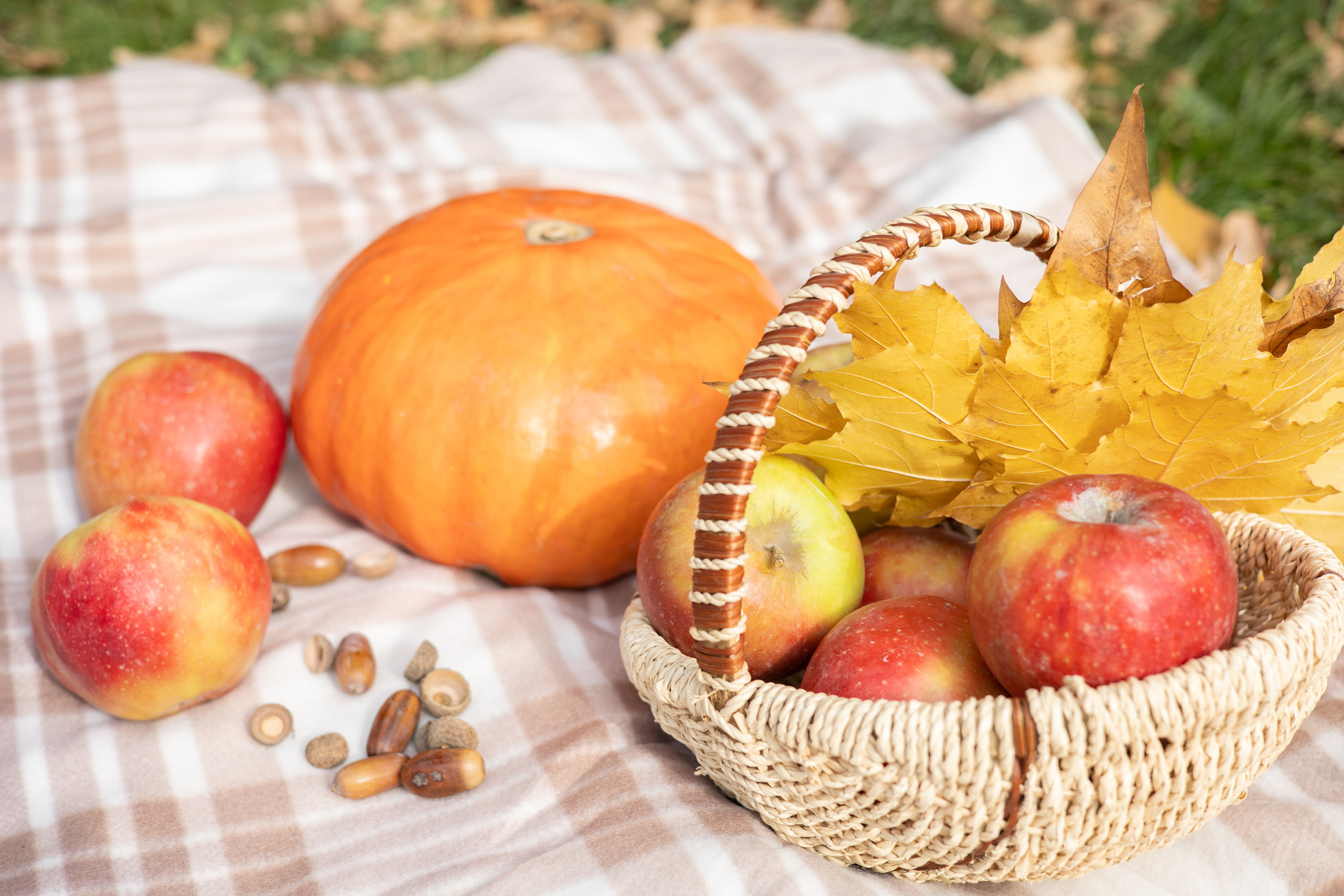 Осенние фото сессии Краснодар. SAAVIK design — Керамика \ Зефирная флористика \Handmade\ Краснодар