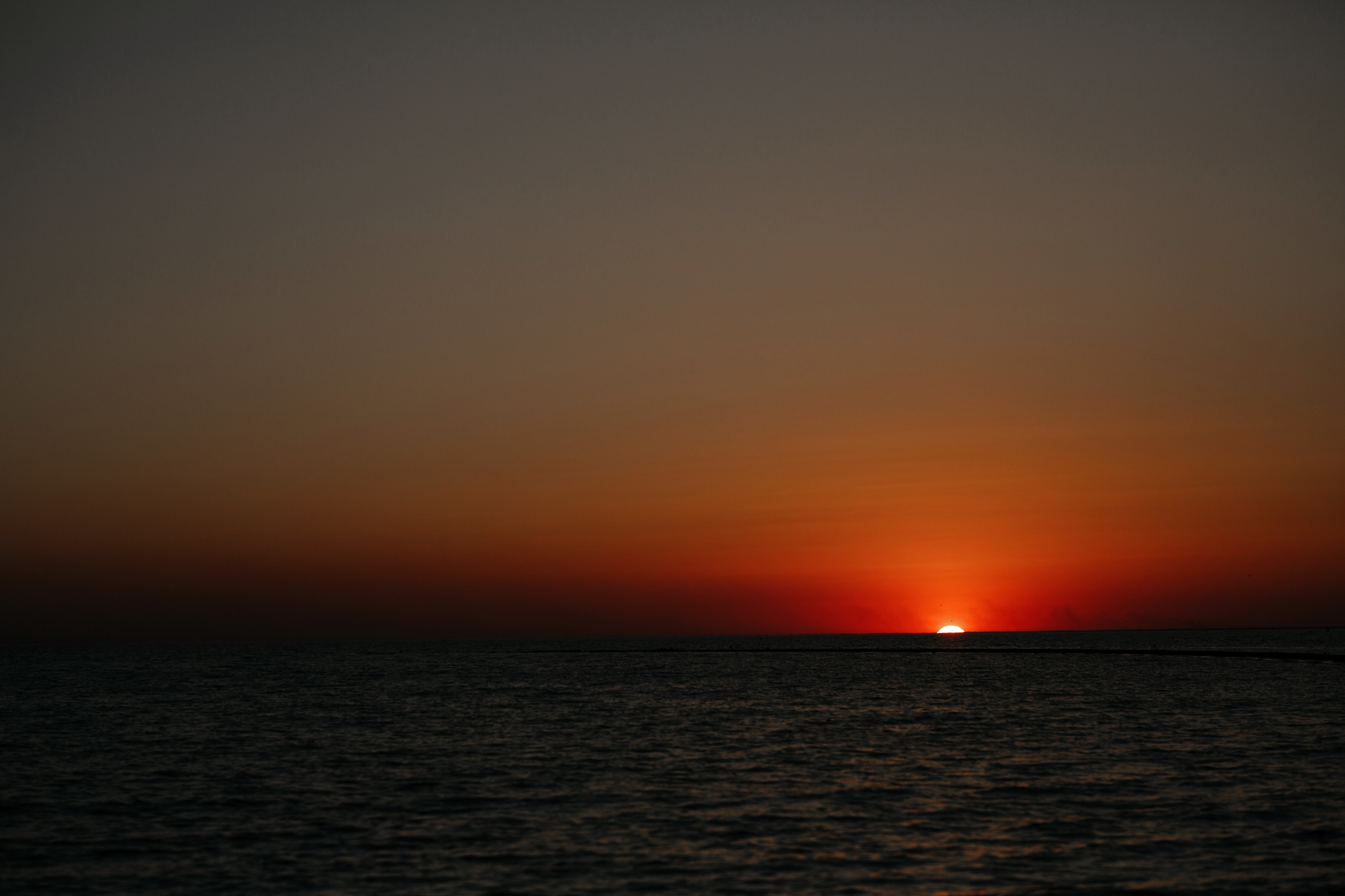 Свадебный фотограф ростов на дону. Свадебный фотограф  Ростов-на-Дону Моска, Санкт — Петербург