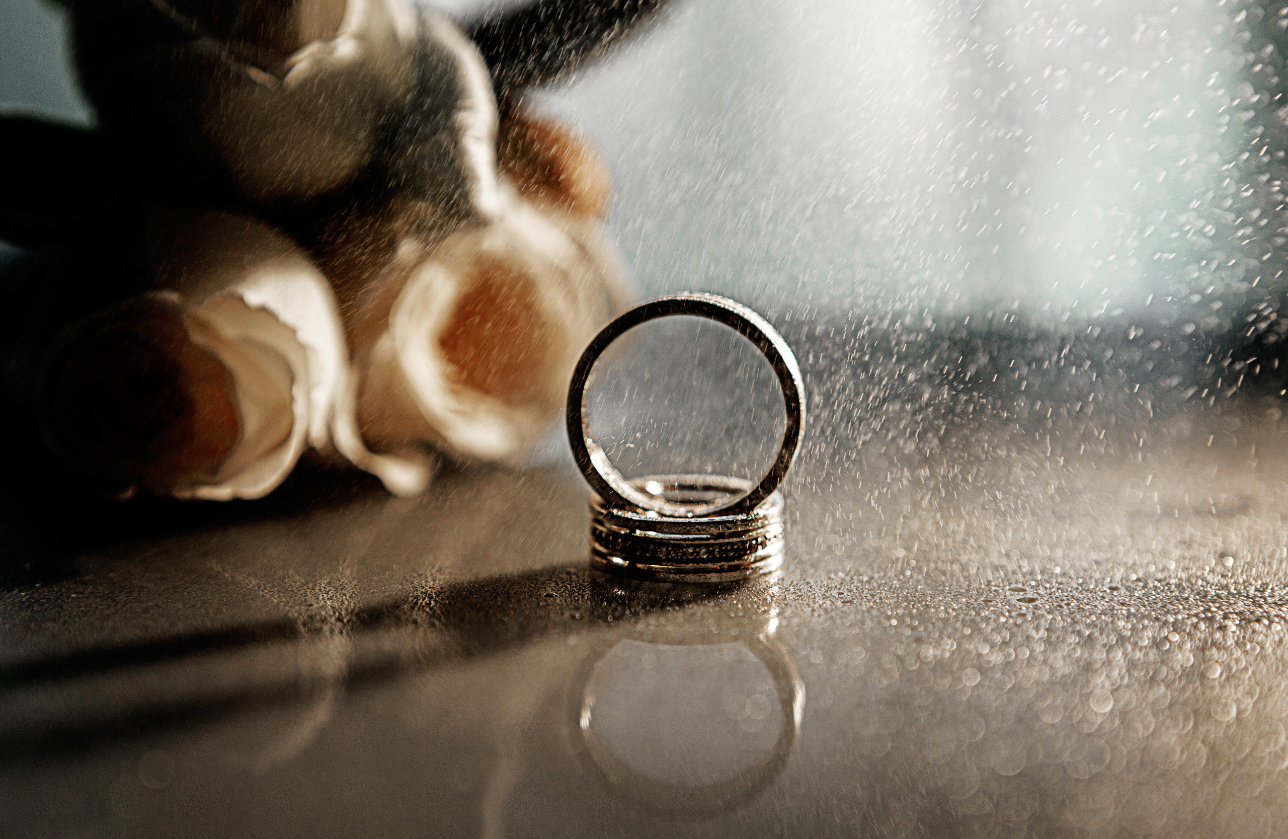 Свадебный фотограф ростов на дону. Свадебный фотограф  Ростов-на-Дону Моска, Санкт — Петербург