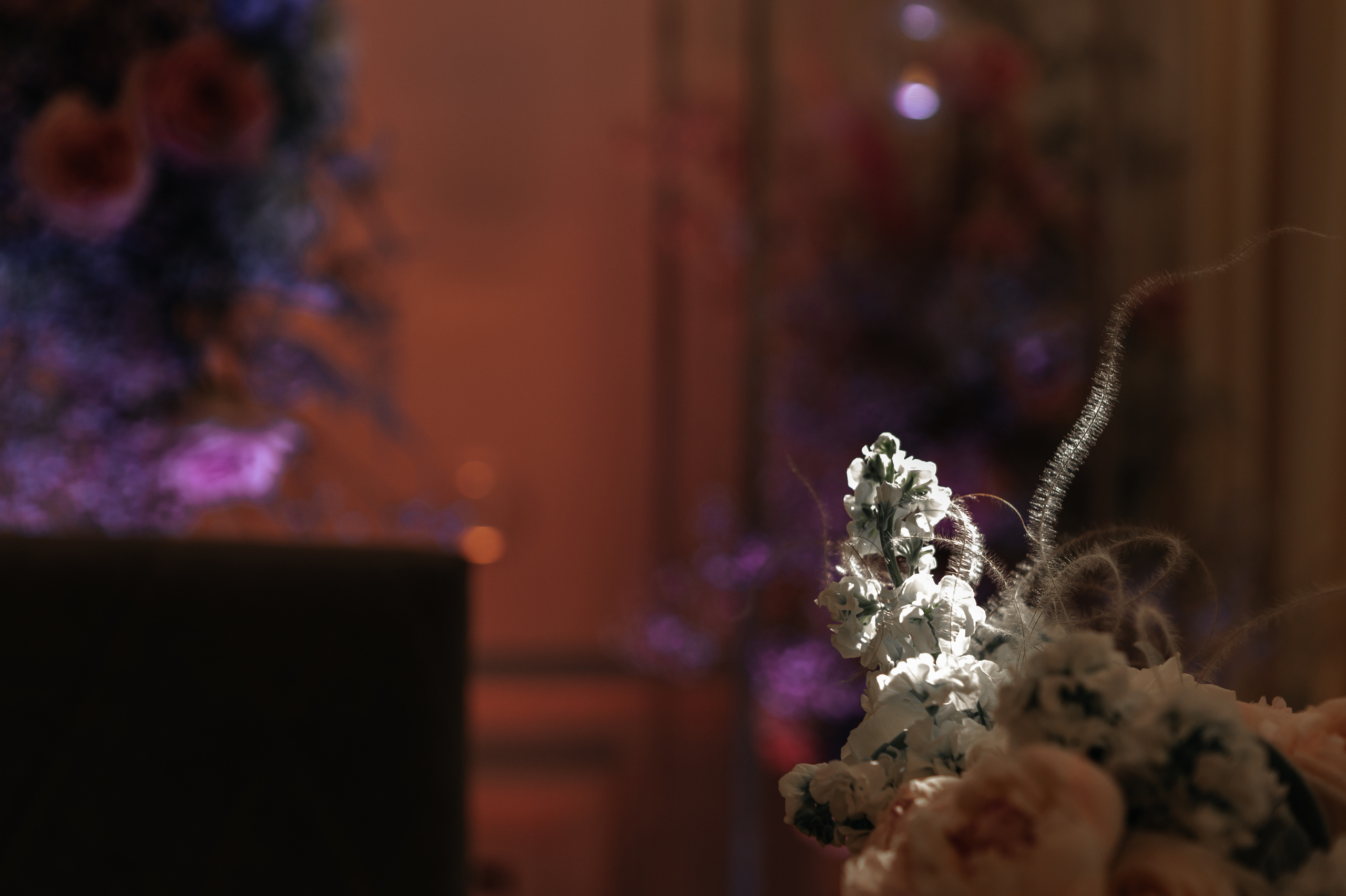 Свадебный фотограф ростов на дону. Свадебный фотограф  Ростов-на-Дону Моска, Санкт — Петербург