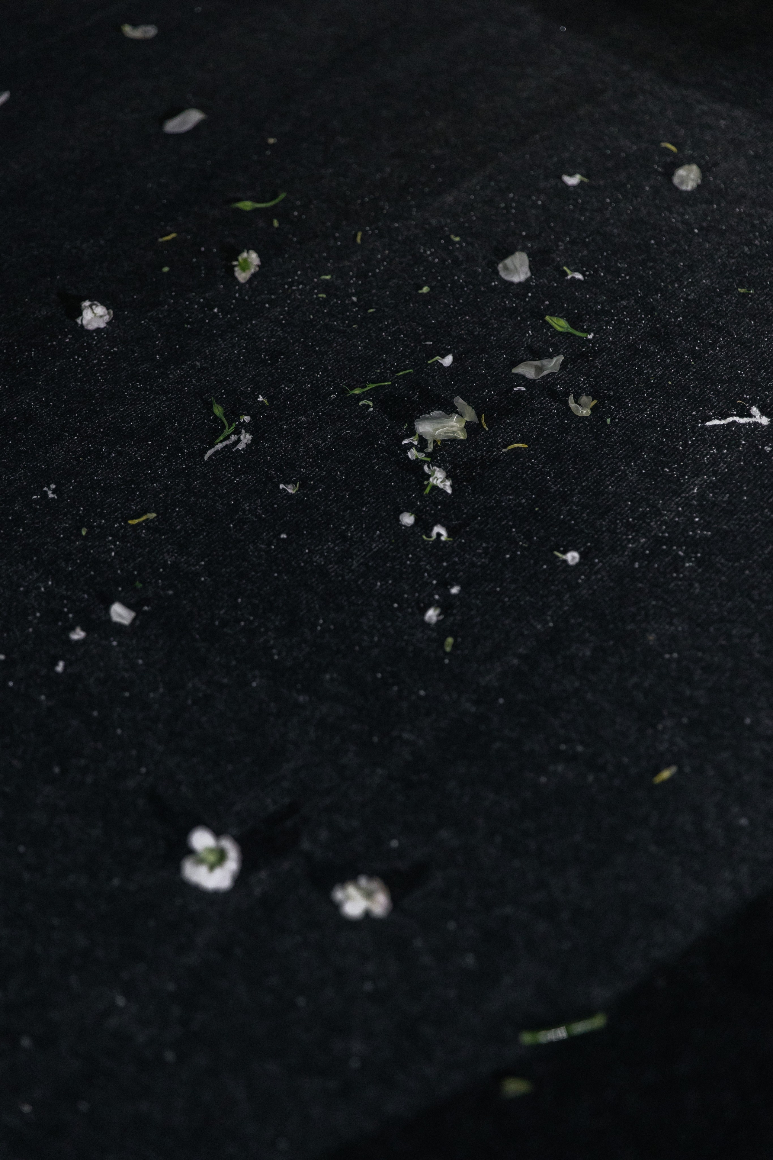 KRISTINA & DMITRIY. Свадебный фотограф | Екатеринбург | Сочи | Артем Шестаков