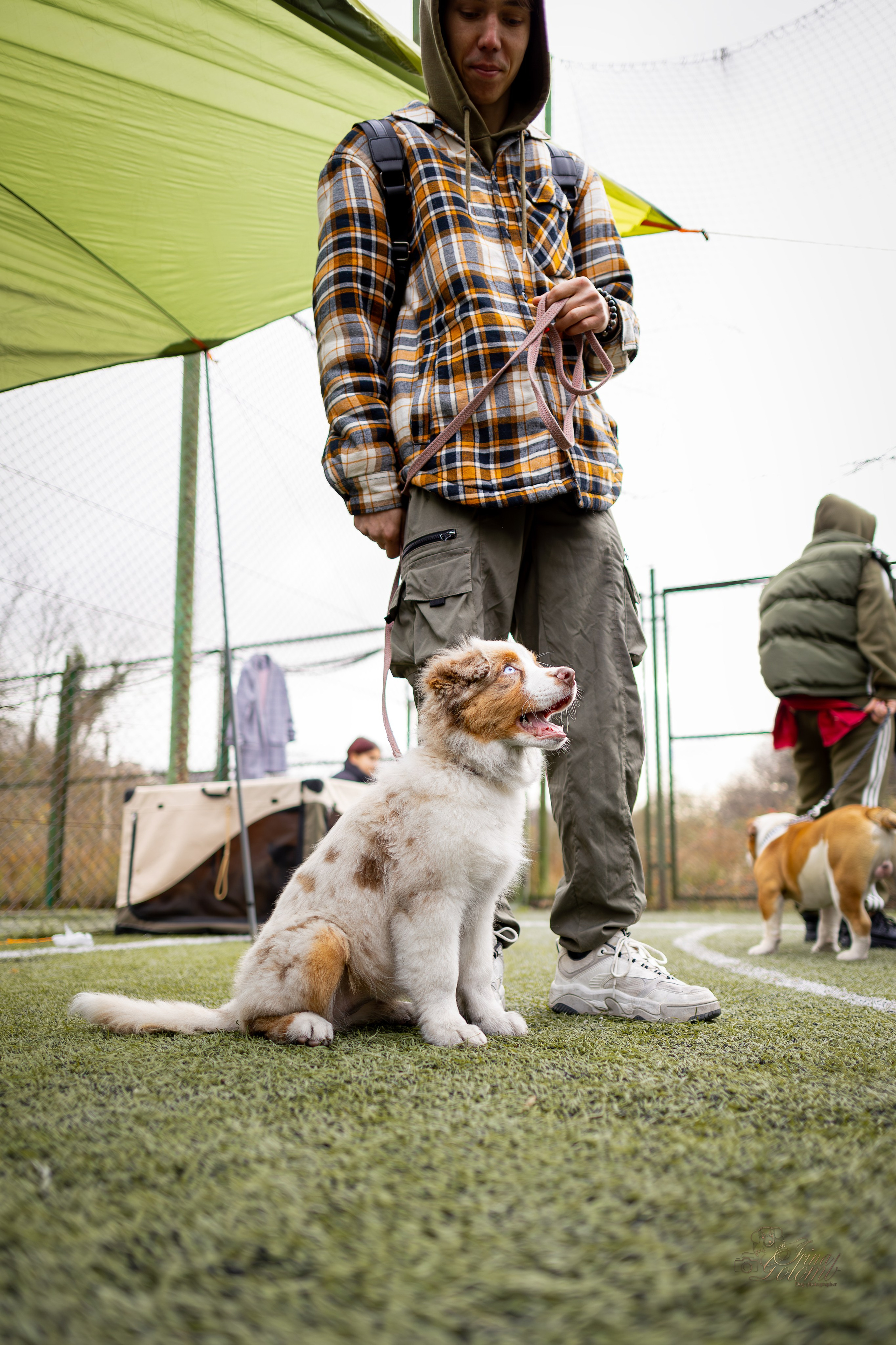 Выставка 17.12.23. Ирина Голомб|Фотограф-анималист в  Сочи и Калининграде