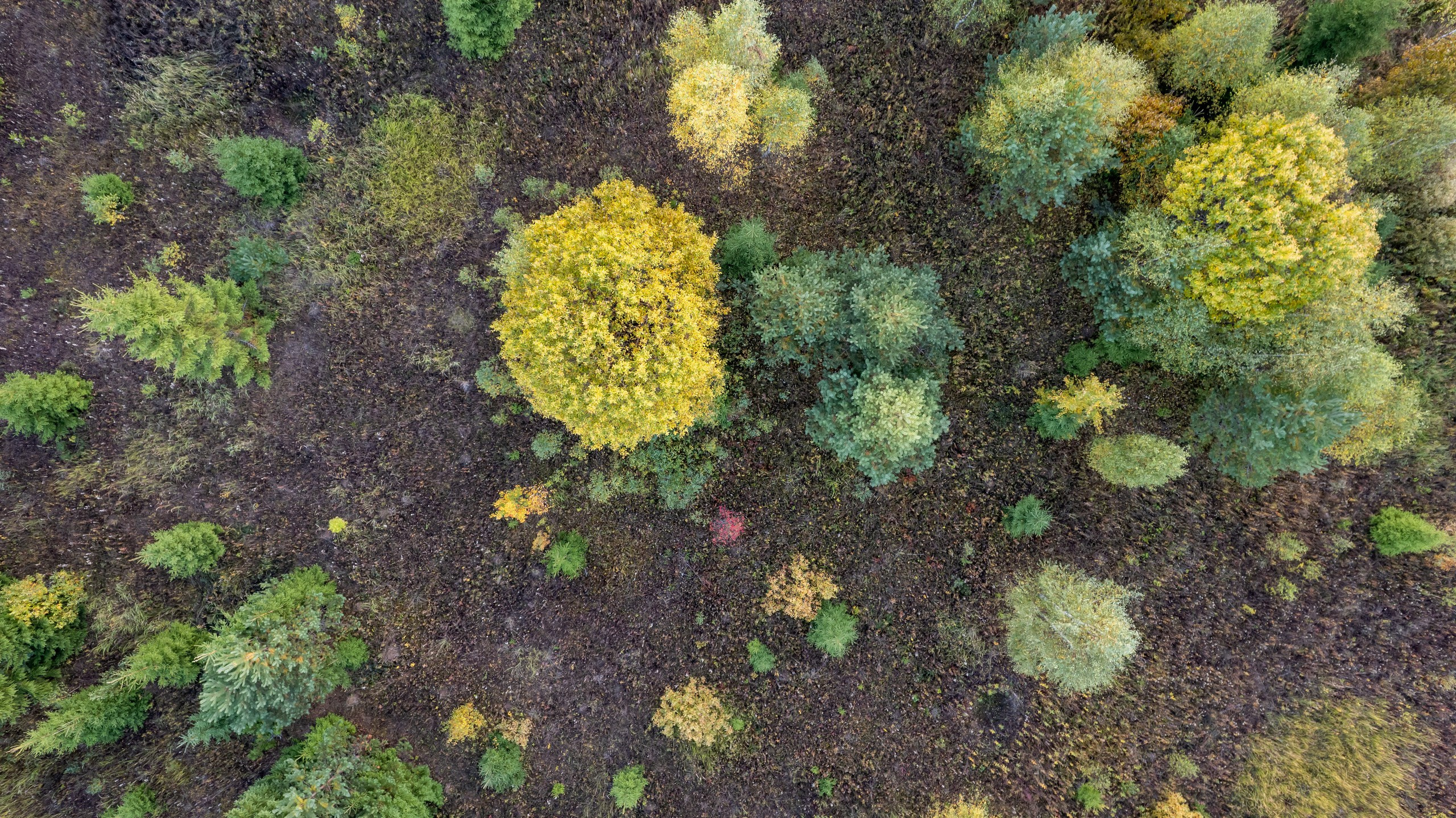 Аэрофотосъёмка. Foto-Zuev фотография как искусство