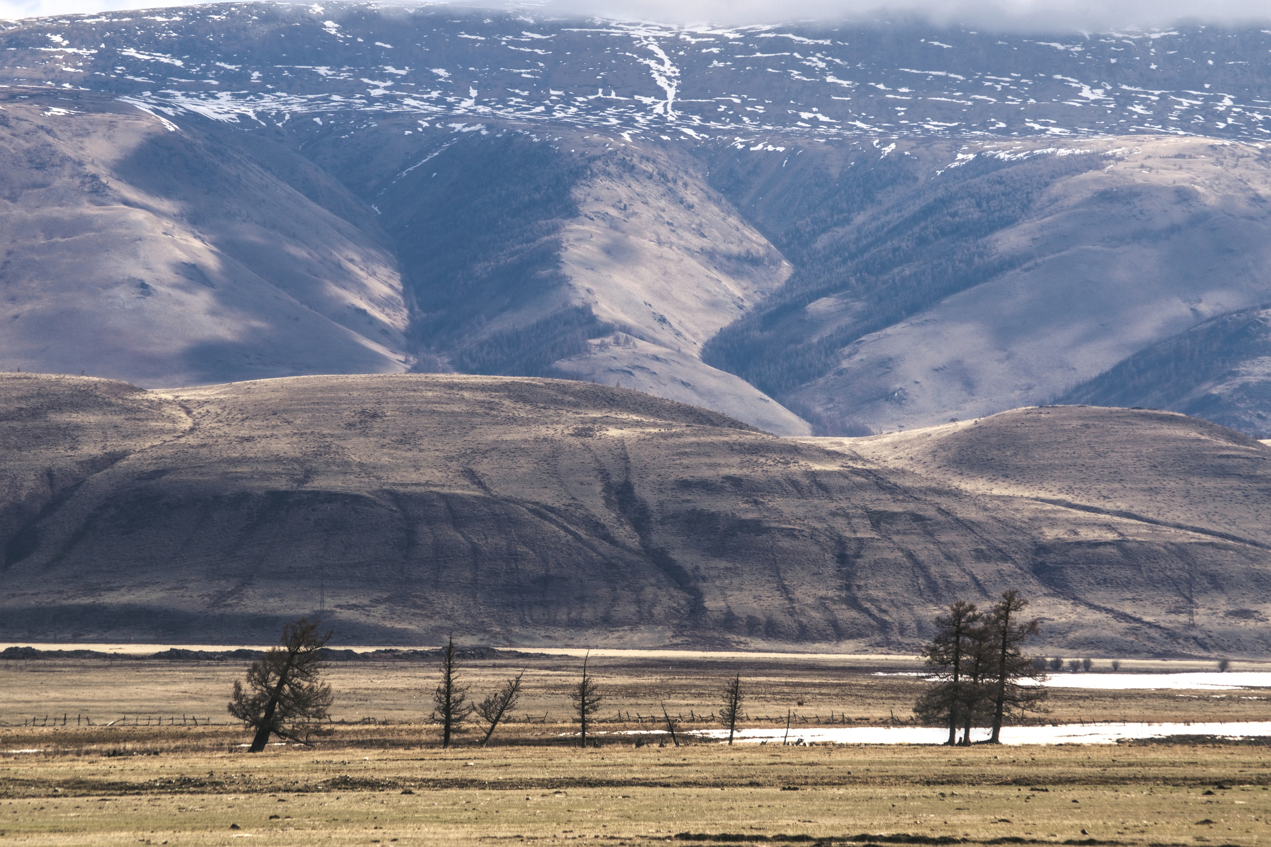 Алтай Курайская степь горы фото