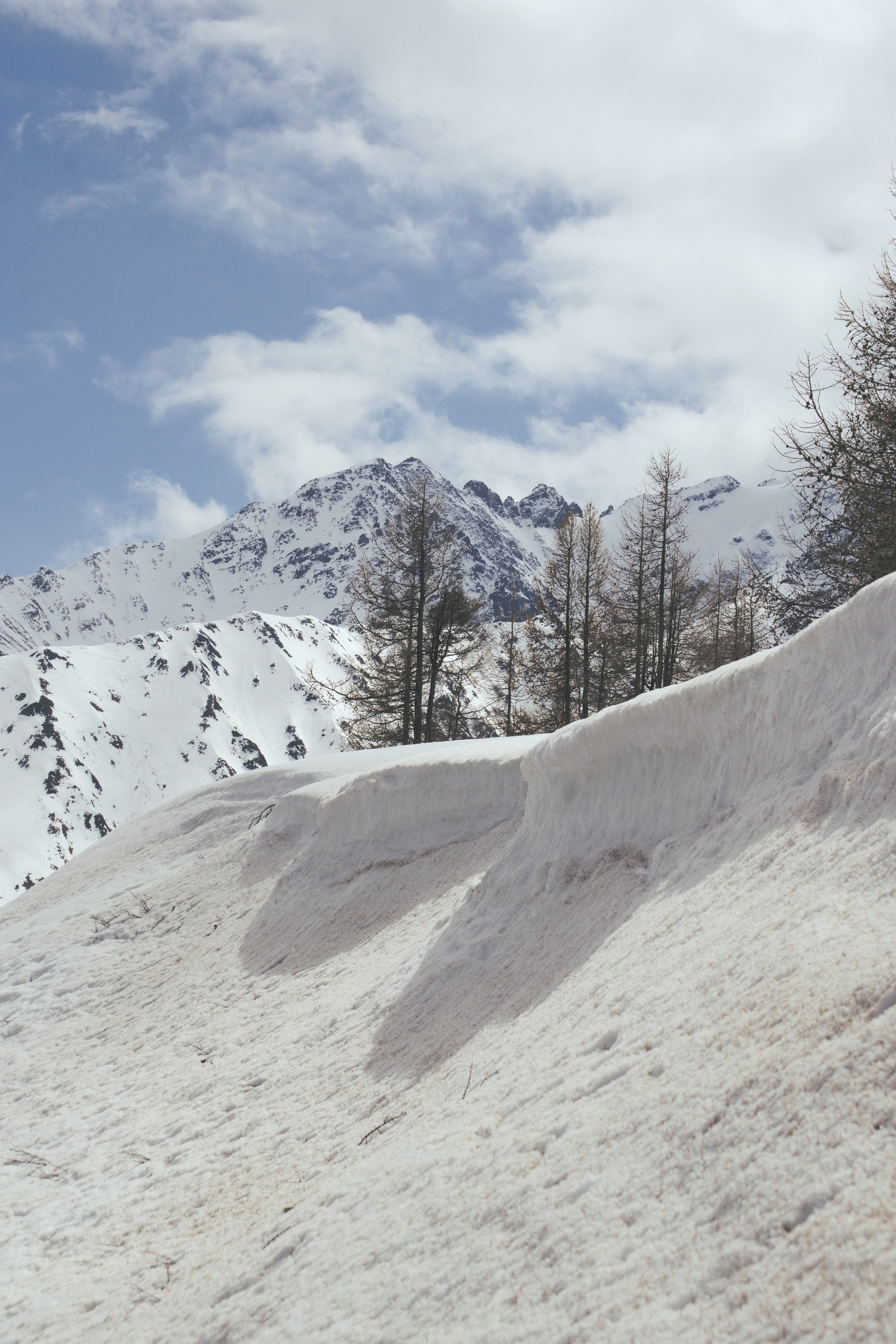 Снежный карниз на фоне деревьев фото Алтай
