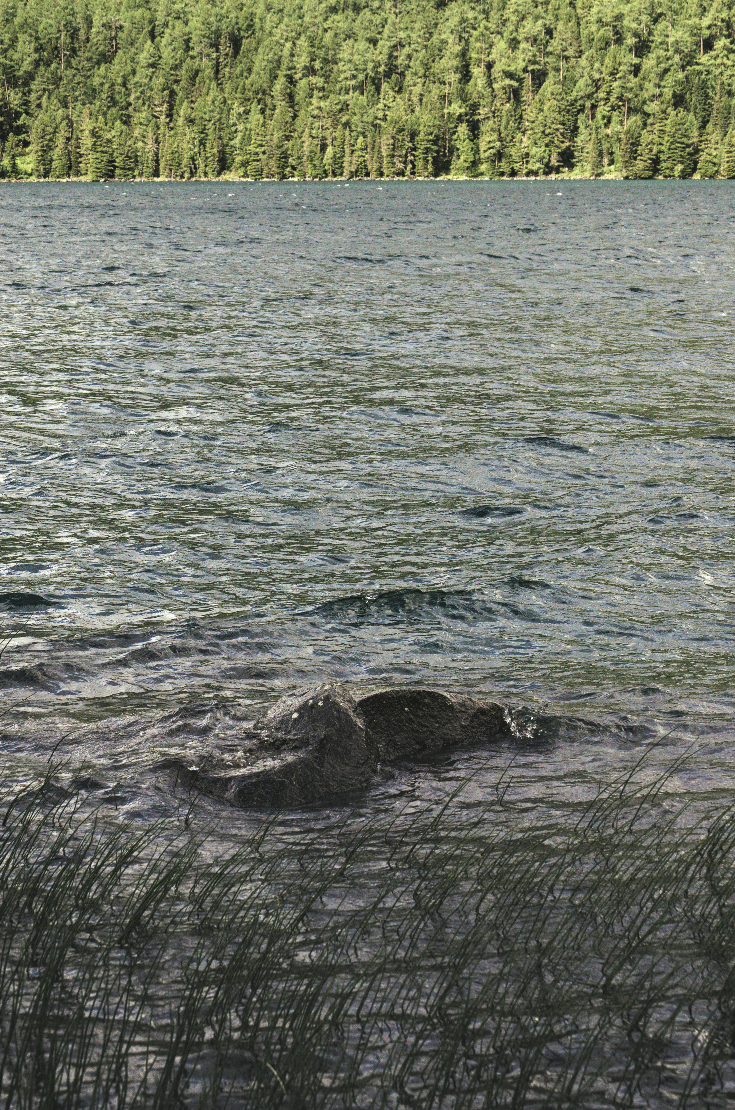 Алтайское озеро камень в воде