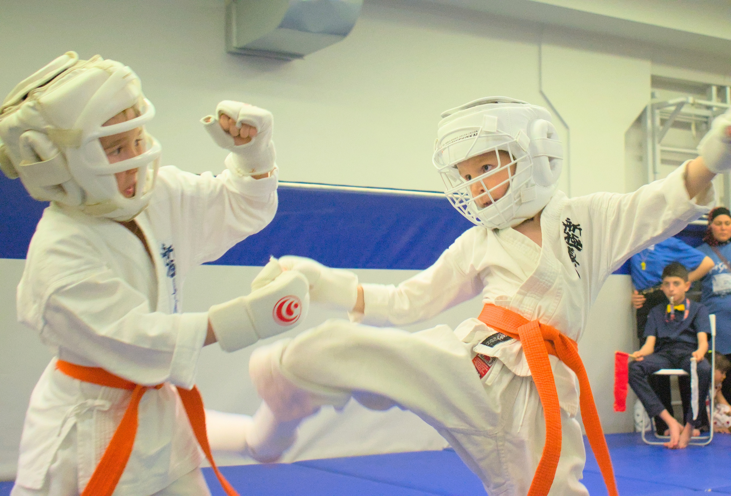 Соревнование по карате. Фотограф анималист, пейзажист, спортивные мероприятия. Новосибирск