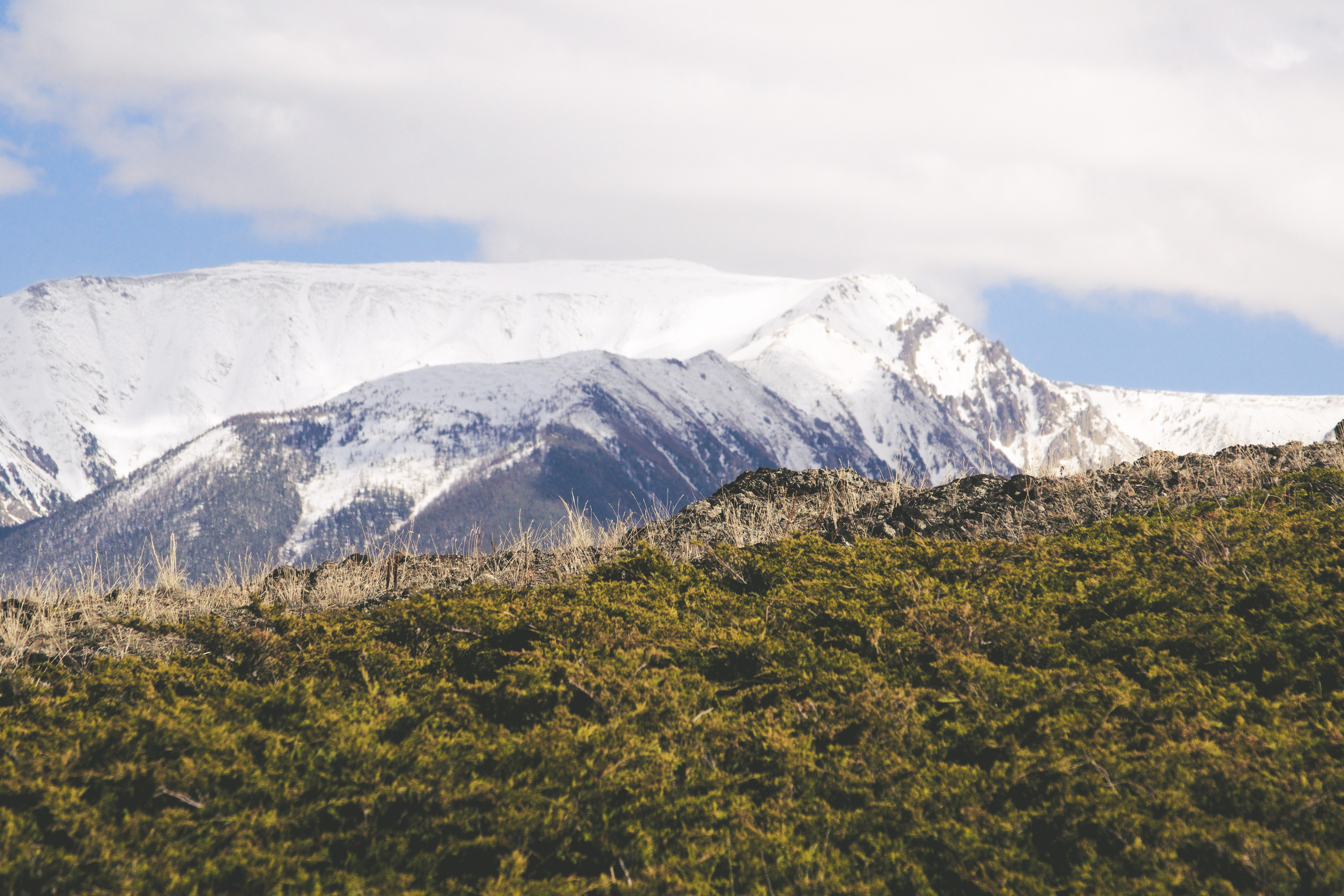 Курайская степь 