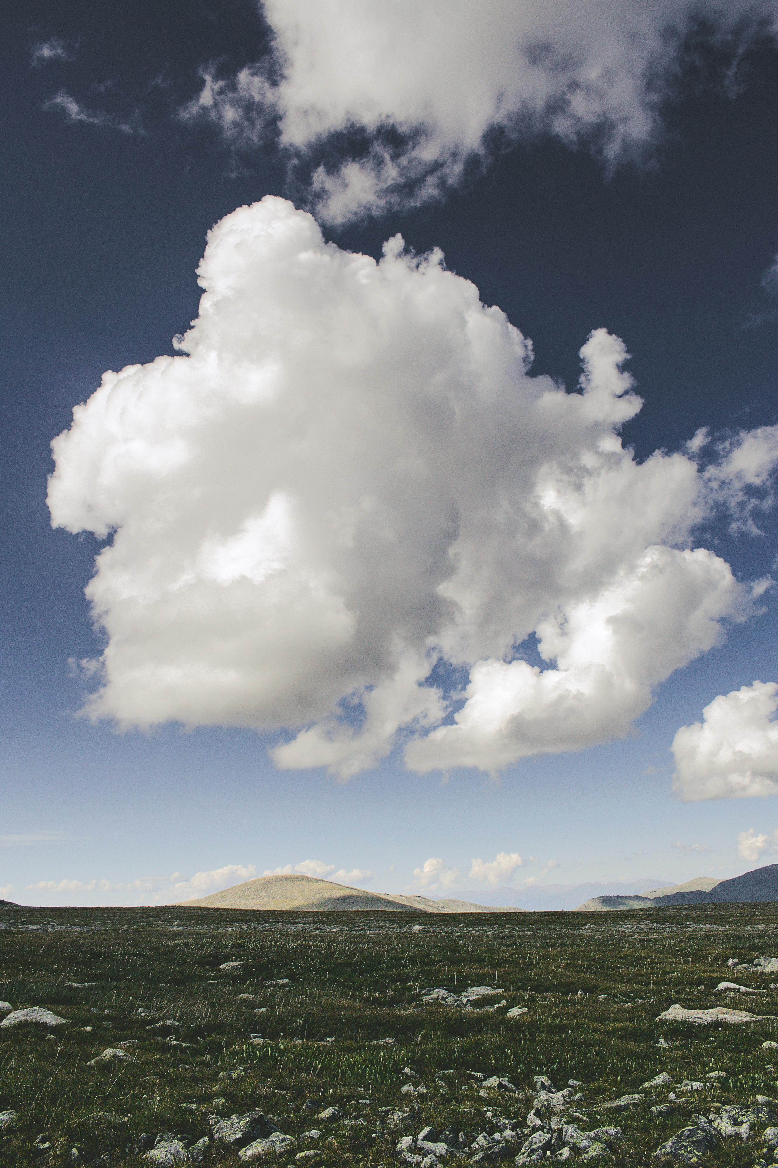 Кучевое облако в поле Алтая