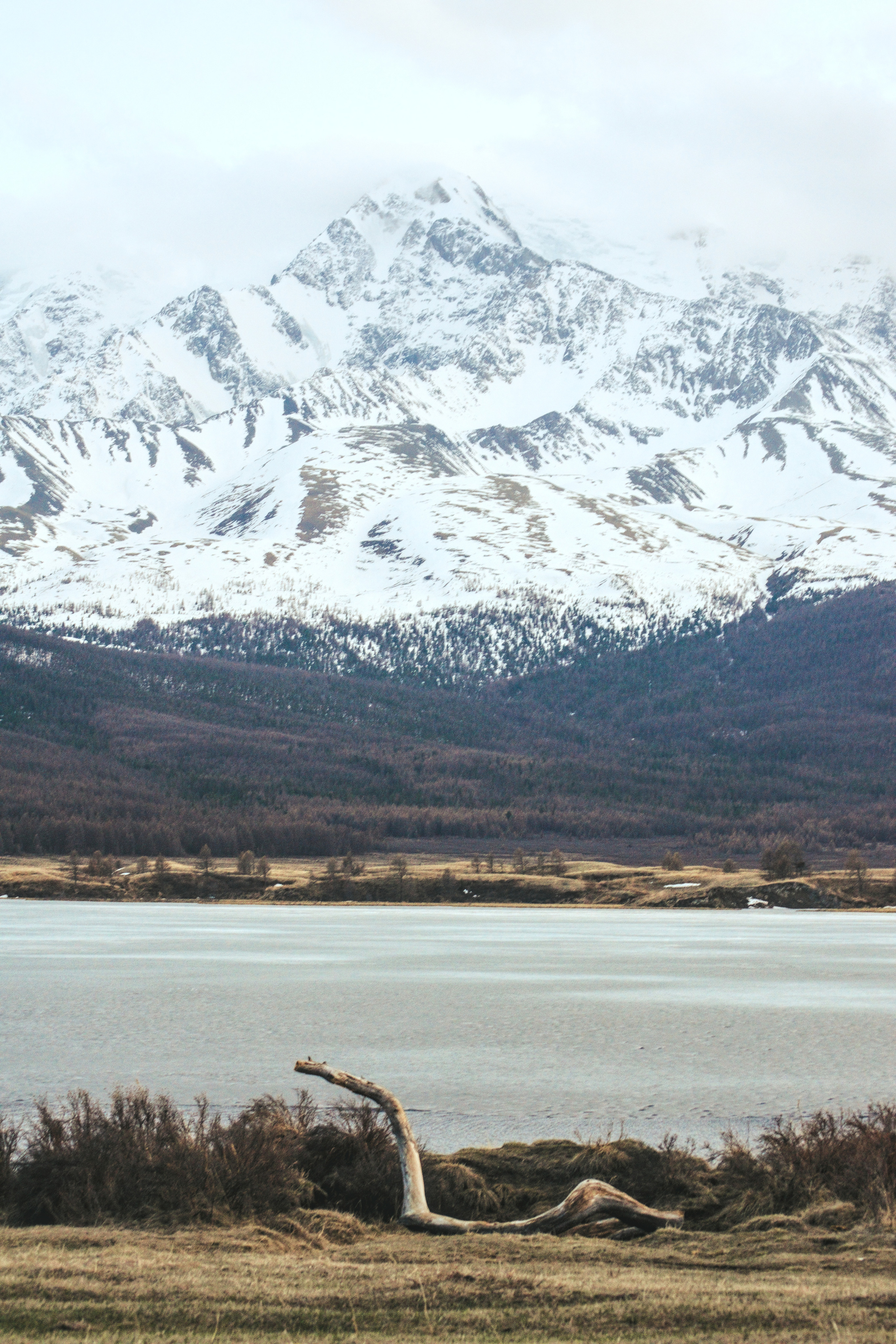 Озеро в Курайской степи на фоне гор фото Алтай