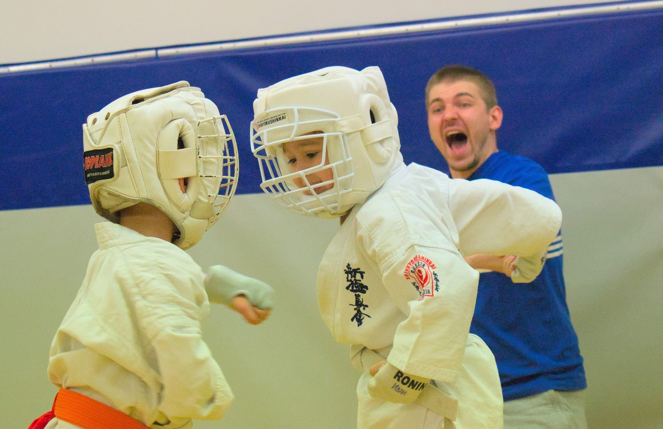 Соревнование по карате. Фотограф анималист, пейзажист, спортивные мероприятия. Новосибирск