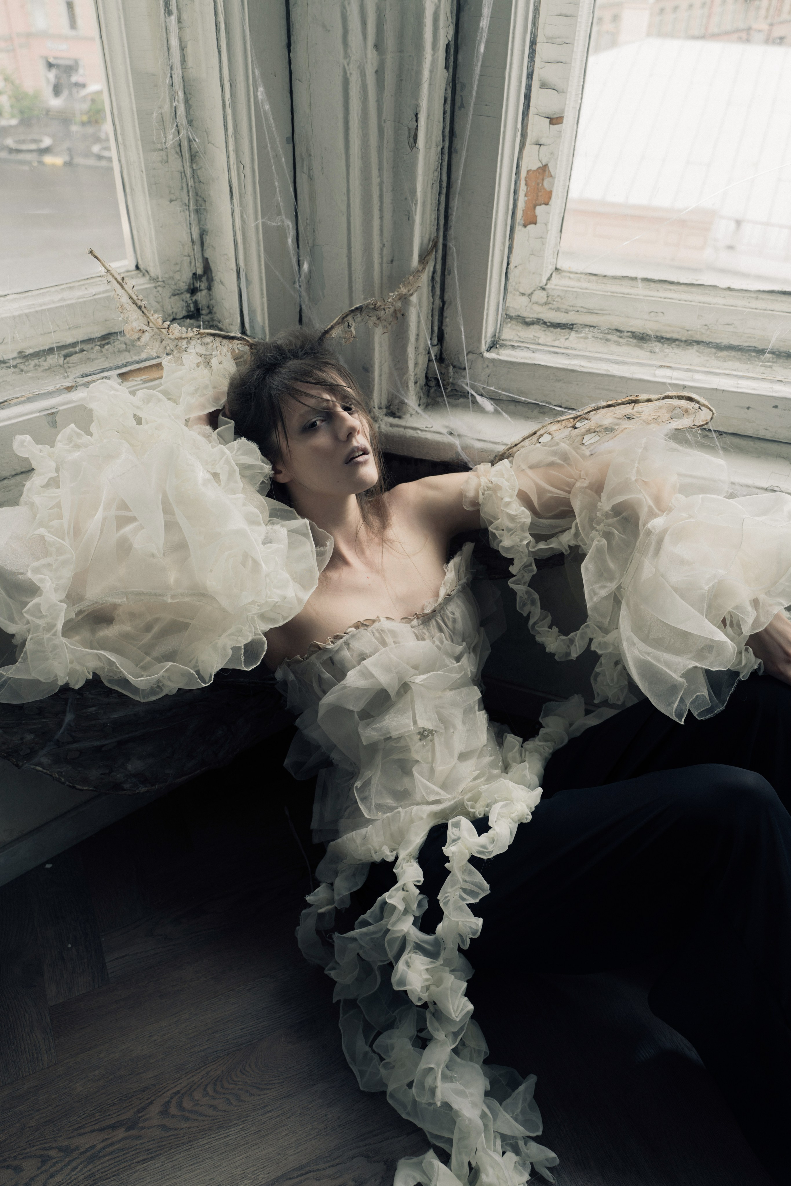 Моль. Фотограф Anita Mivchas