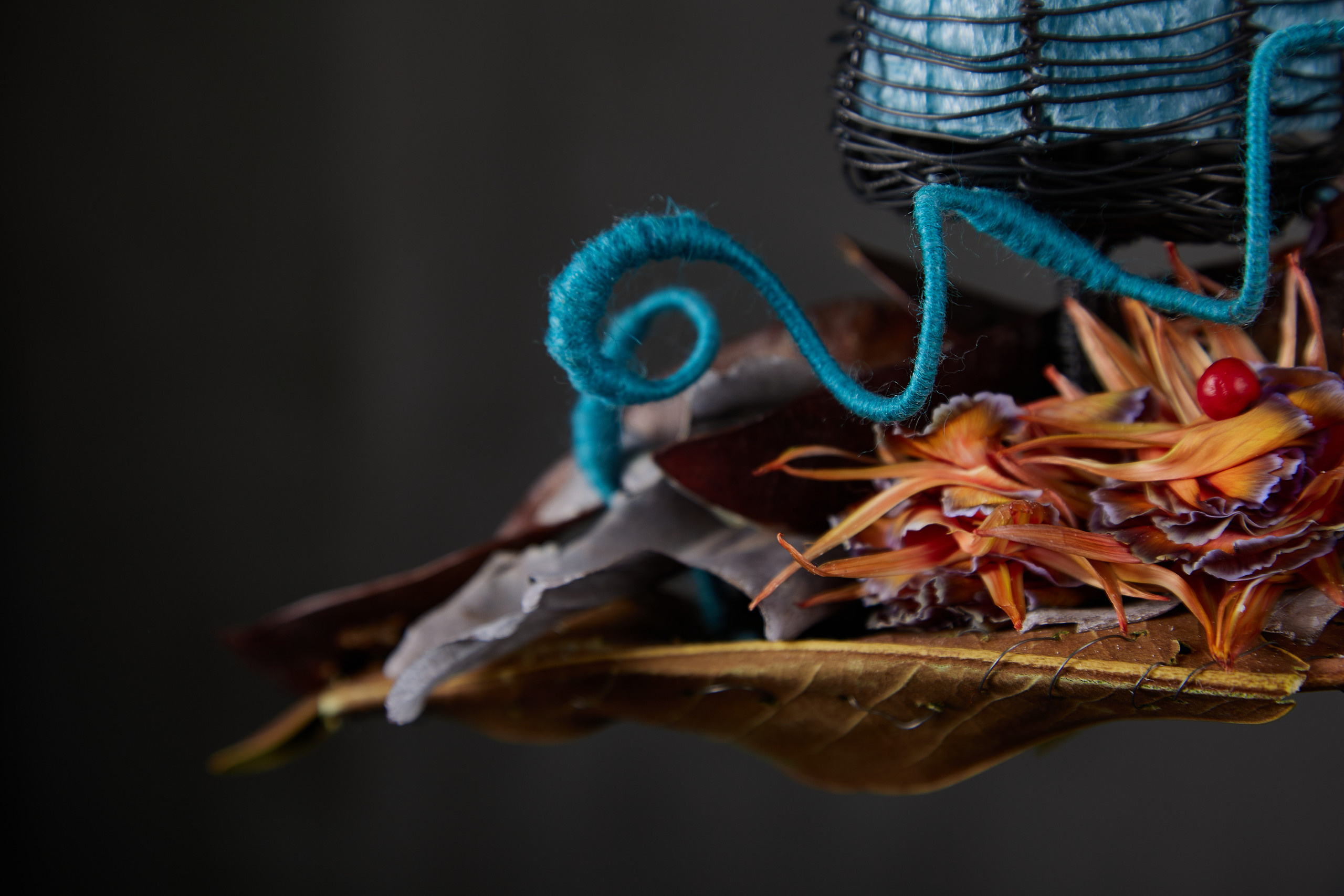 Testimonious. Maria Poleshchuk, commercial photographer in Sydney