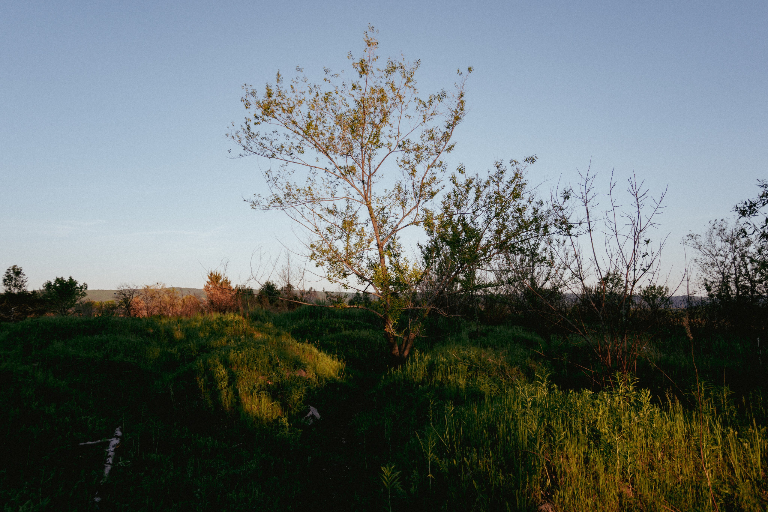 04.06.2025 | Сосновоборск. Kuznetsov | Фотограф в Красноярске