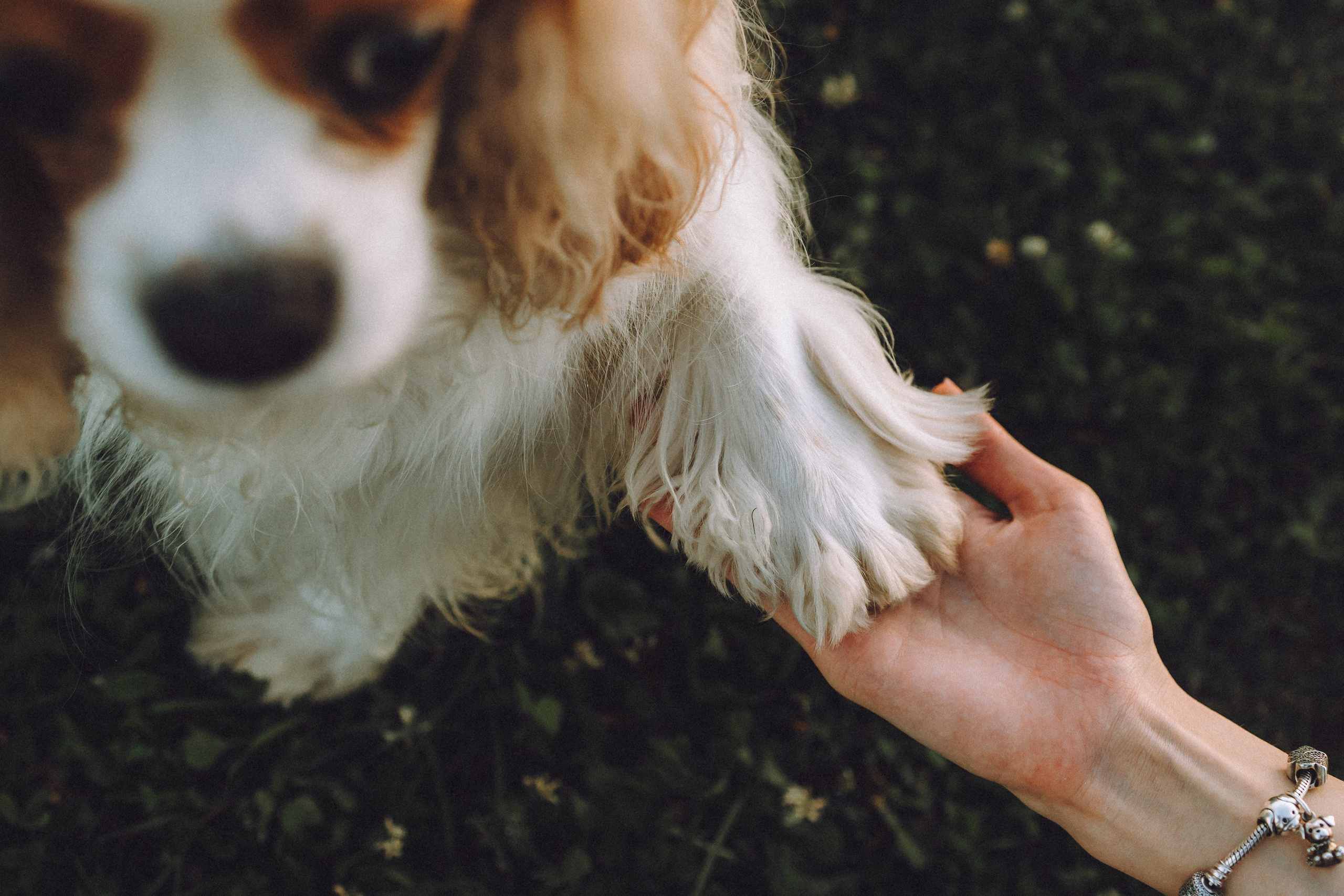 Наташа и Вики