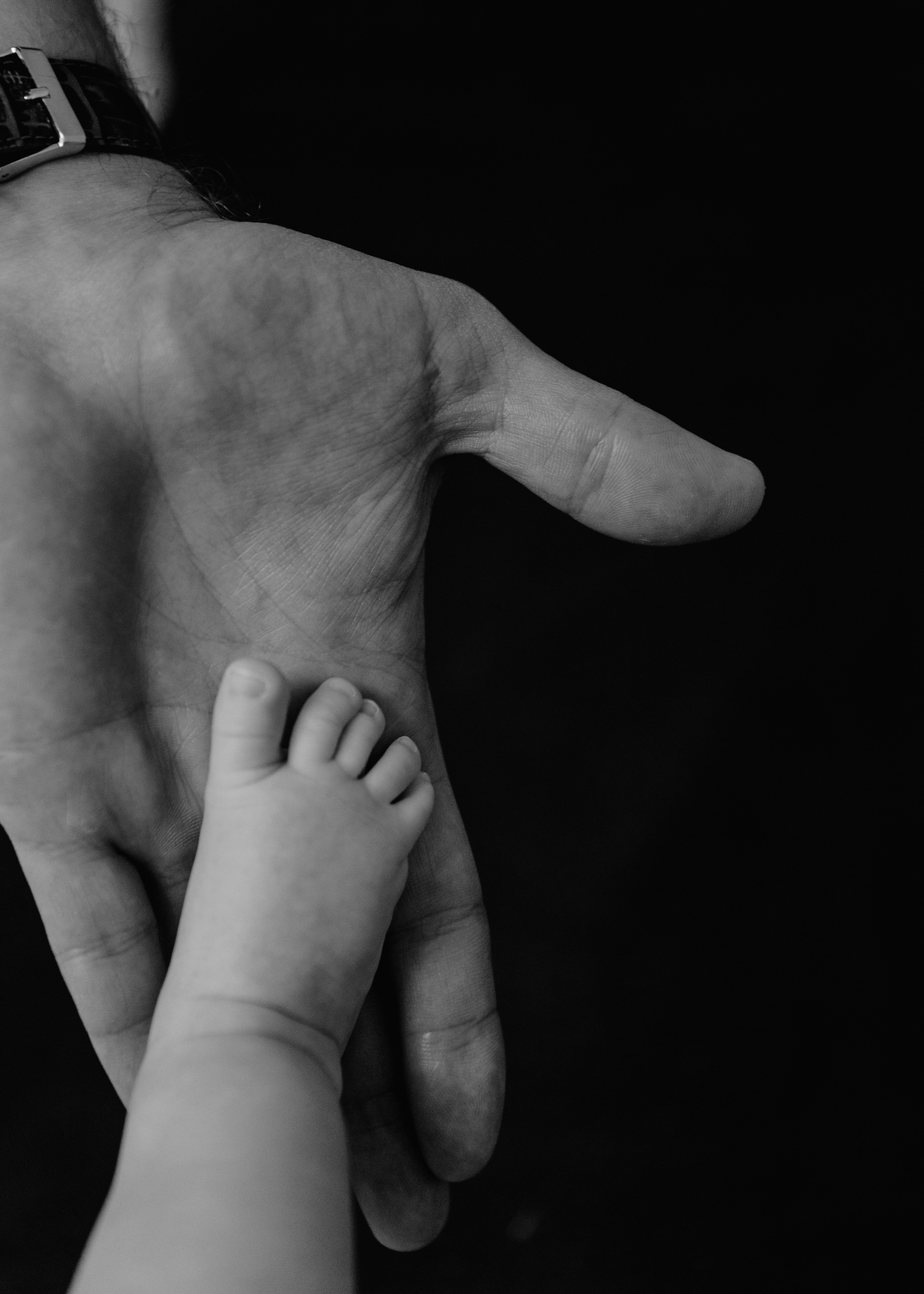 MYAGKIE BATONI. Аня Нагайцева фотограф в Томске, семьи, портреты, контент