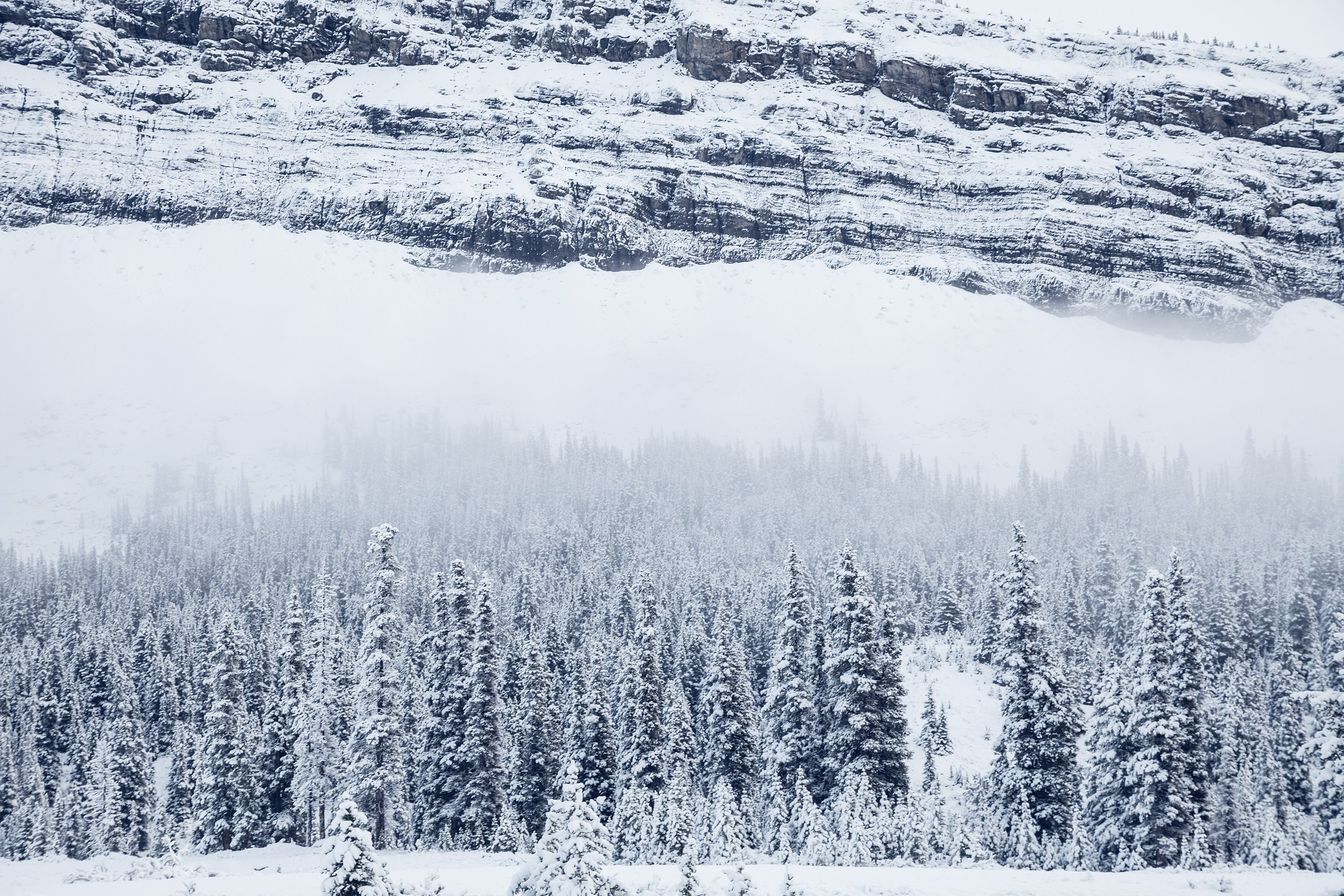 Канада. Фотограф Владимир Медведев