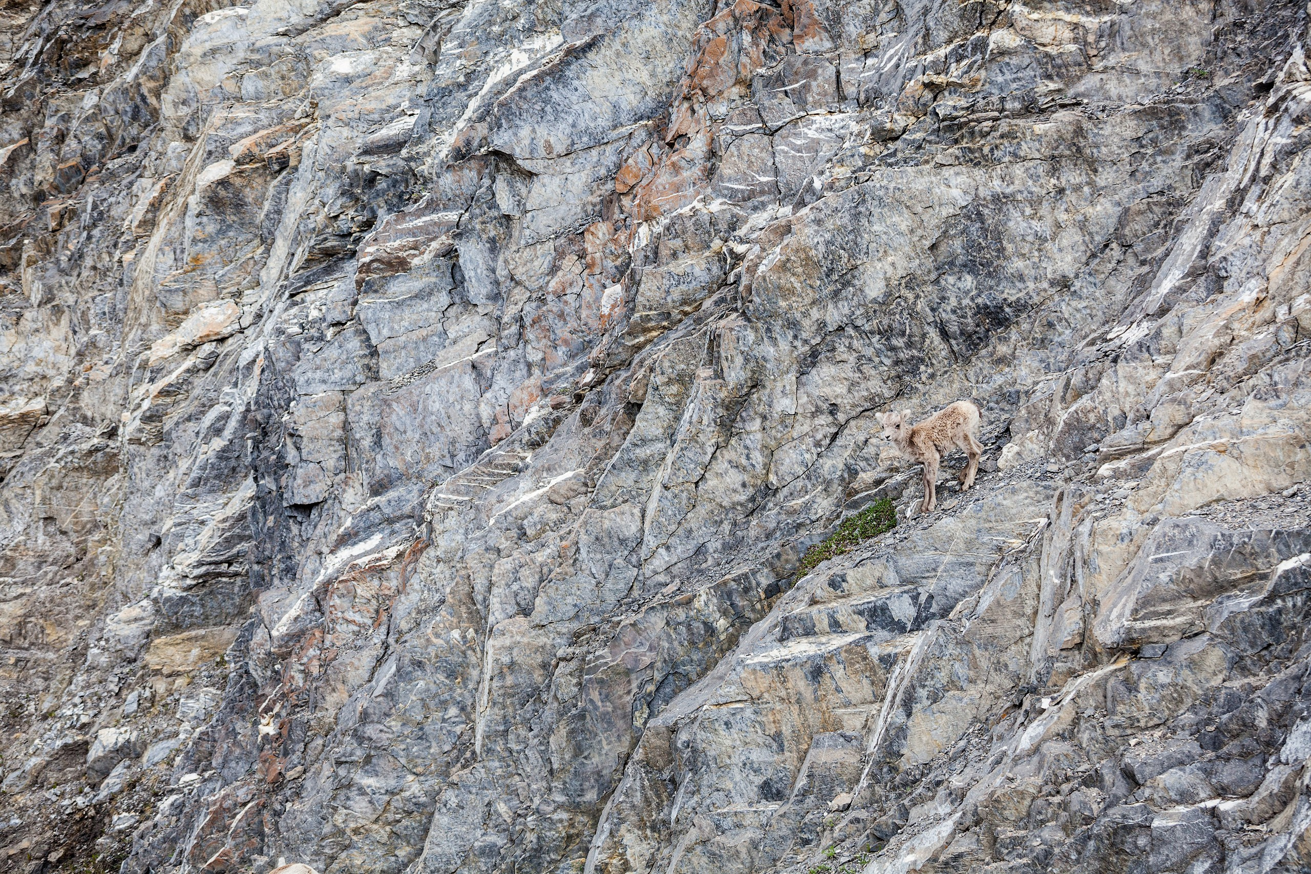 Канада. Фотограф Владимир Медведев