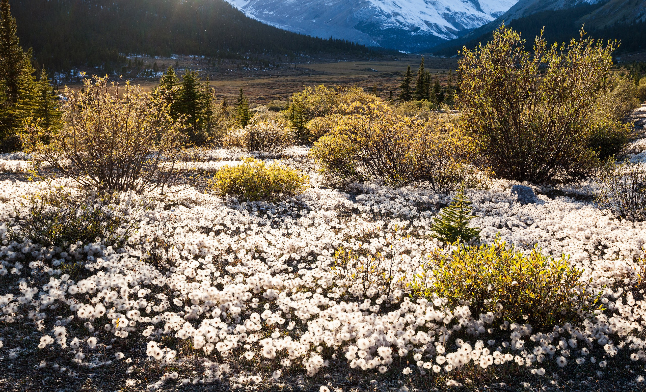Канада. Фотограф Владимир Медведев
