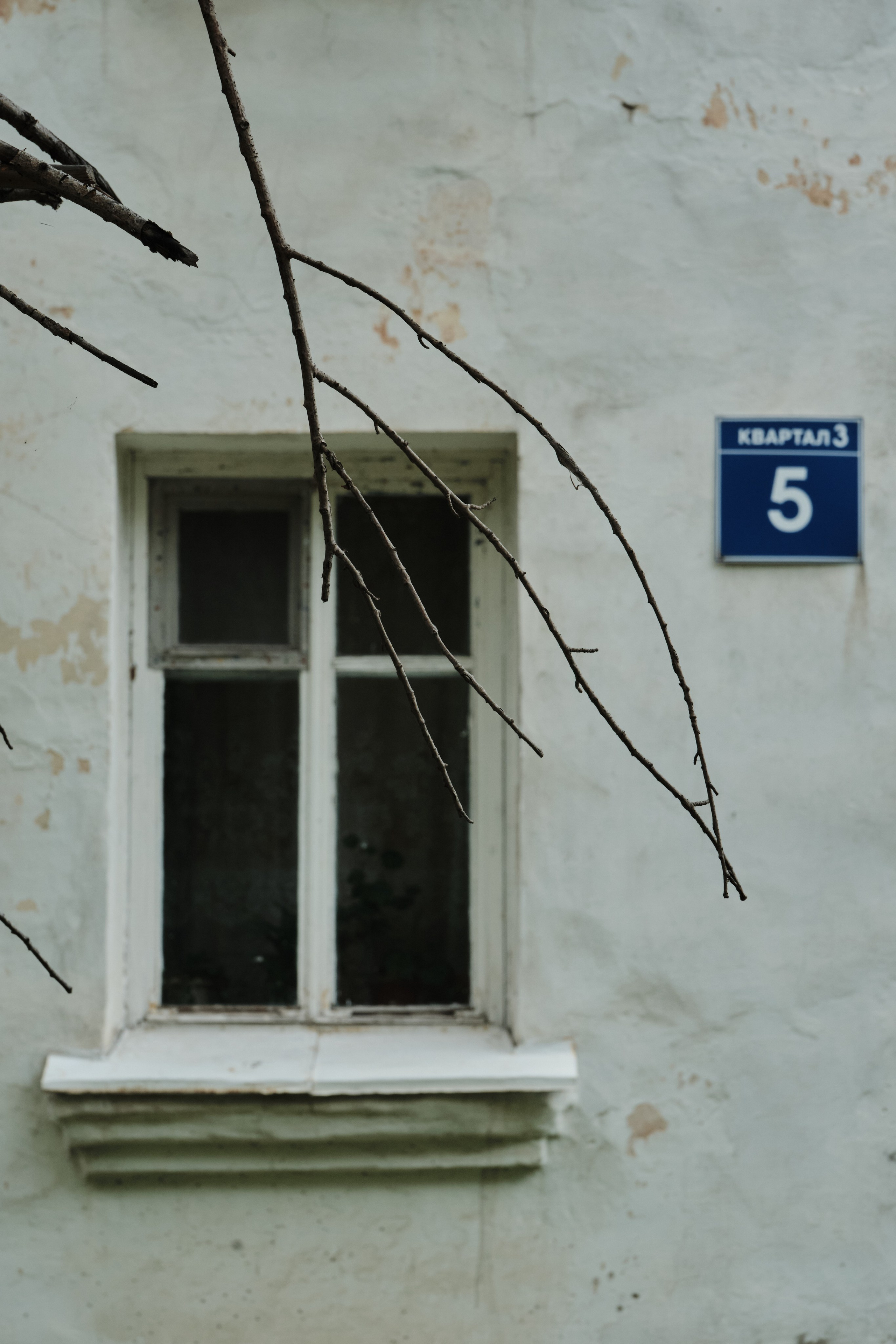 Мочище и Сокур. Goncharov Tim