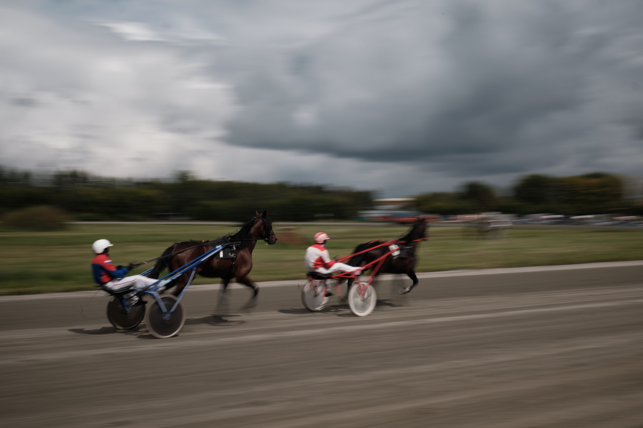 Ипподром. Goncharov Tim