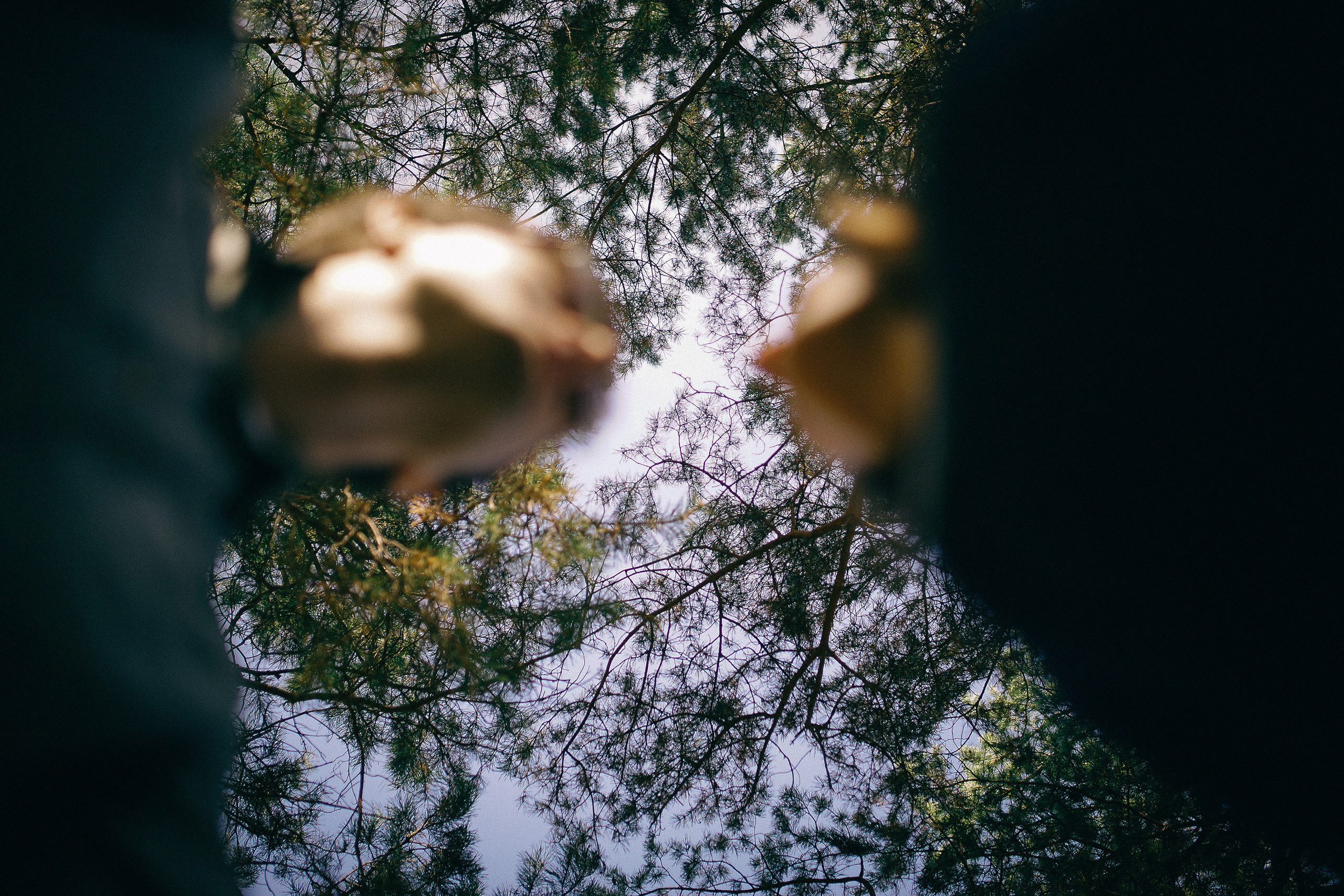 Аня и Максим. Репортажный фотограф в Новосибирске. Алексей Гриценко