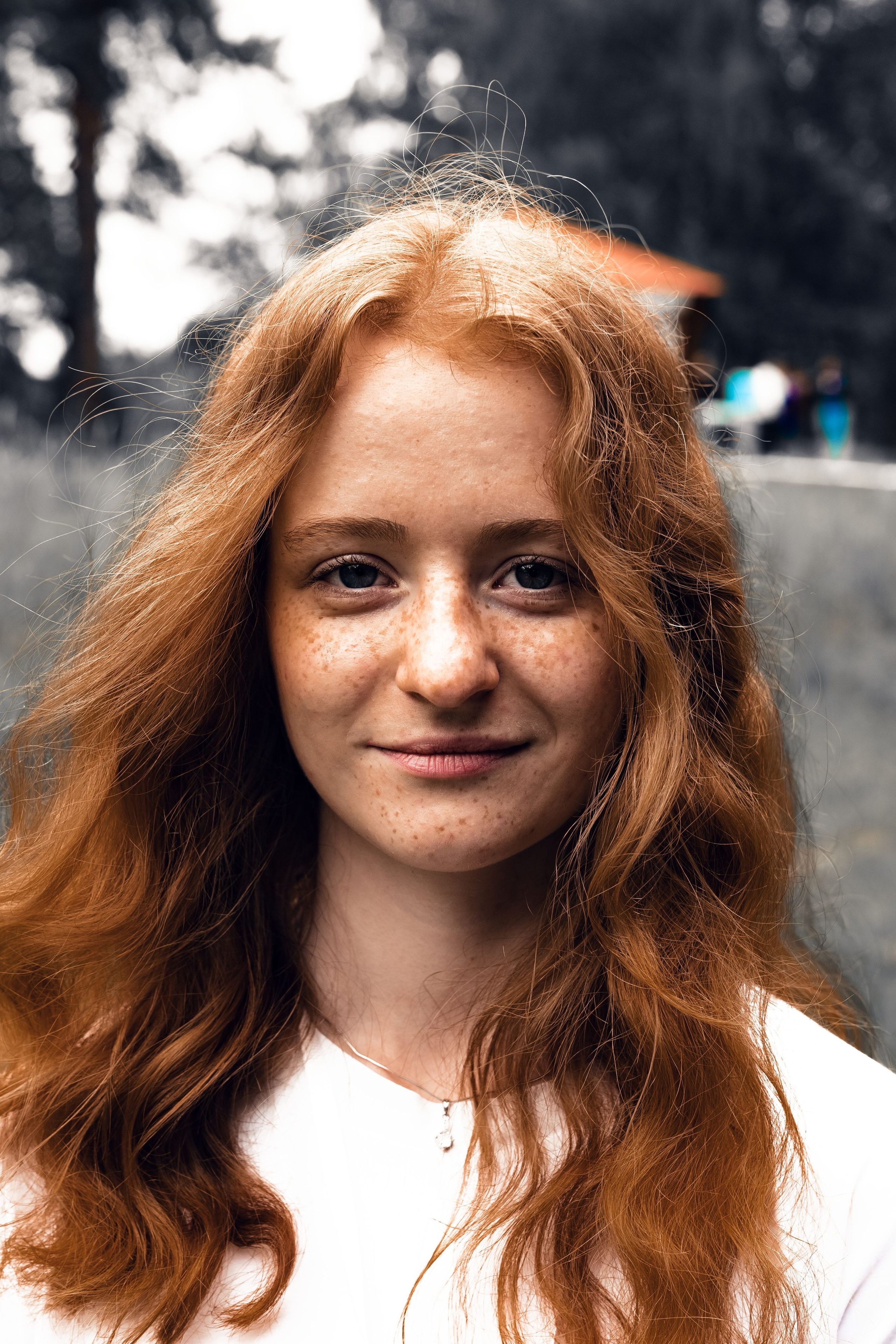 ВИДЕНЬЕ