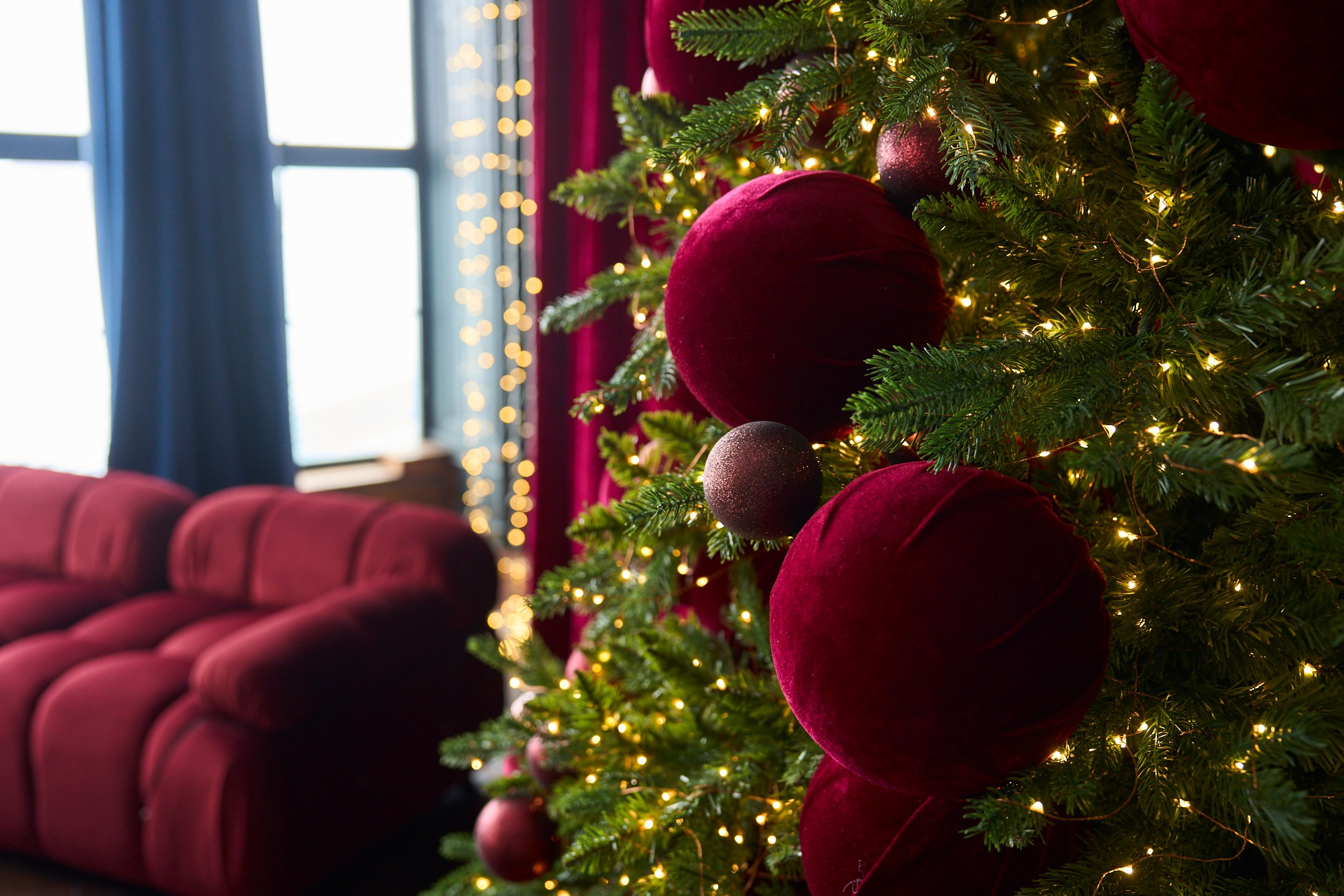 Вуд (Wood). Фотограф г. Хабаровск. Семейные и индивидуальные съёмки