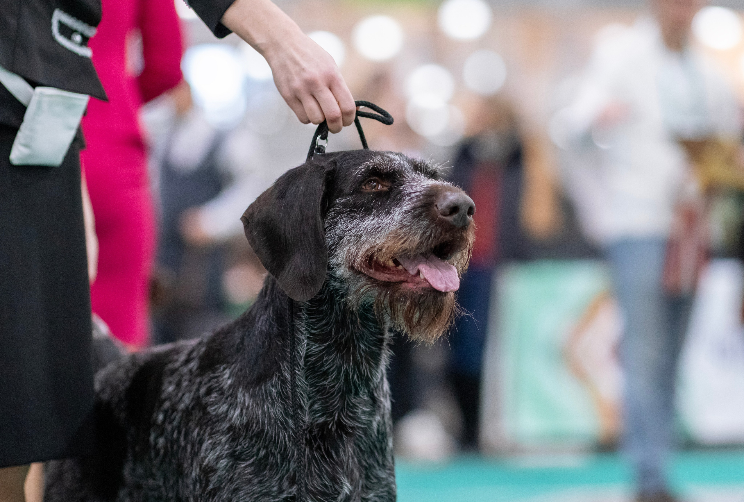 Евразия. Фотограф — анималист Татьяна Ли