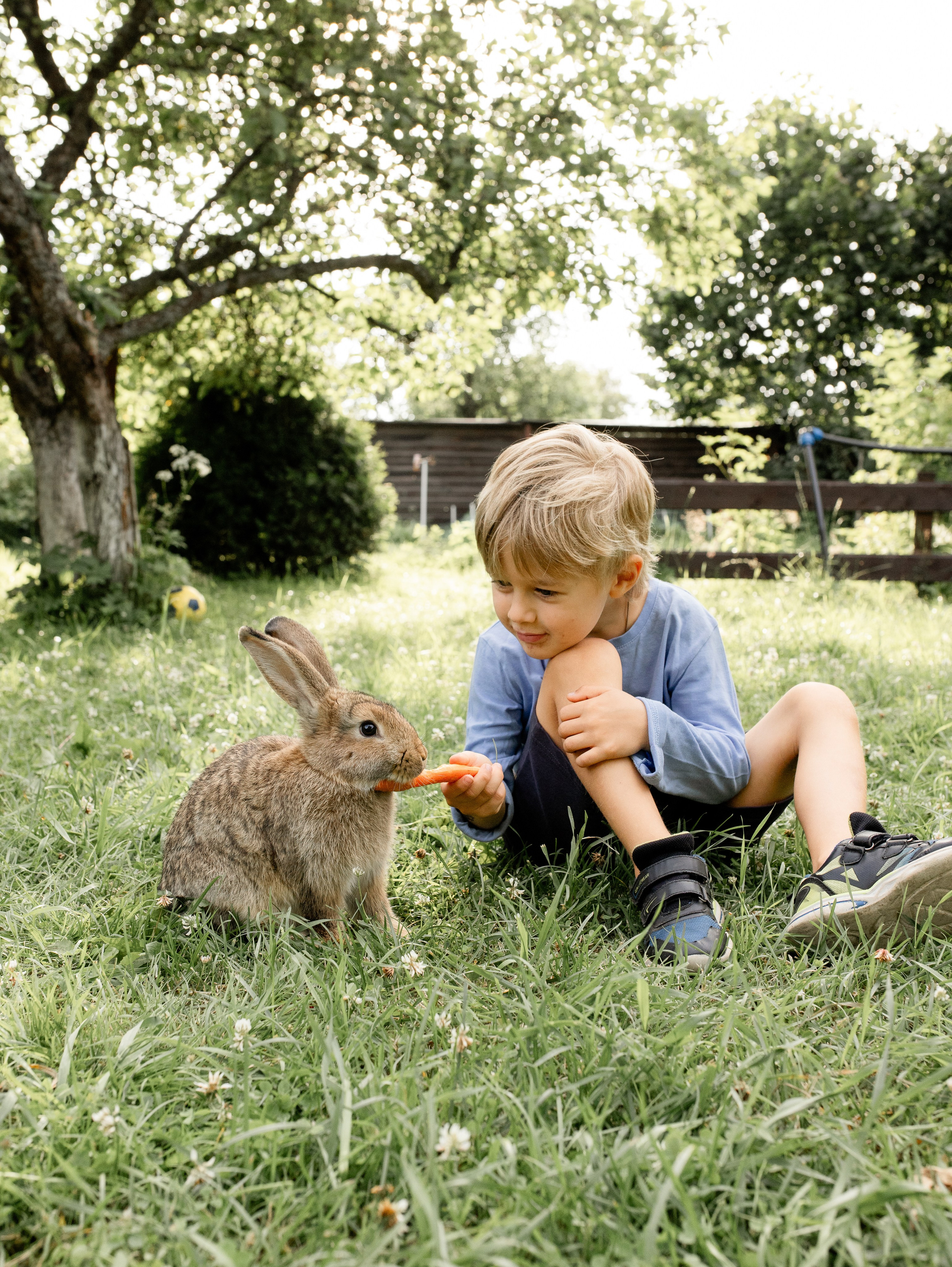 Кролики 2023. Семейный фотограф в Санкт-Петербурге Ирина Иванова