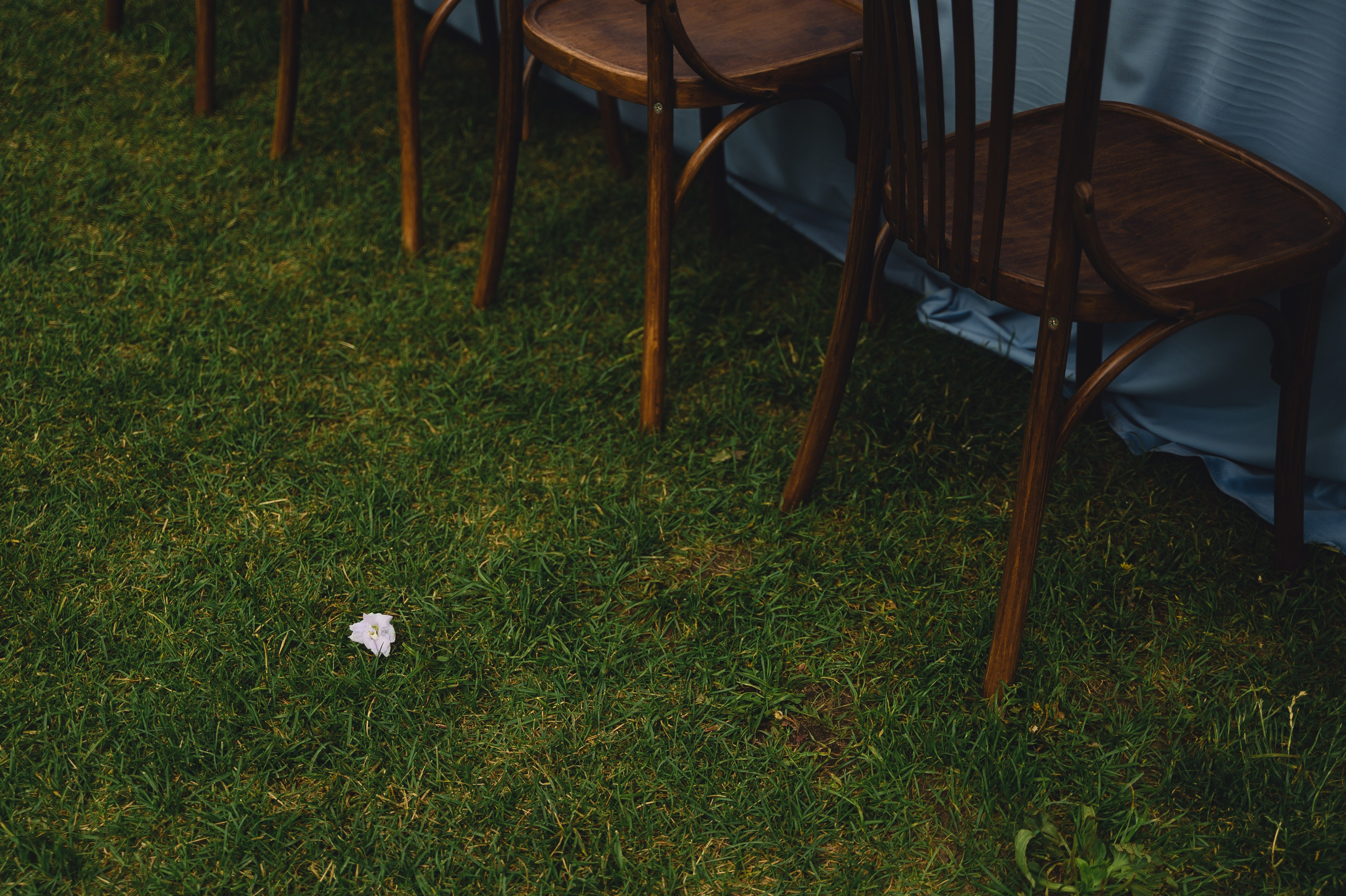 Тая и Артур. Кантри клаб Поляна. Свадебный фотограф Колотовкина Валентина Москва