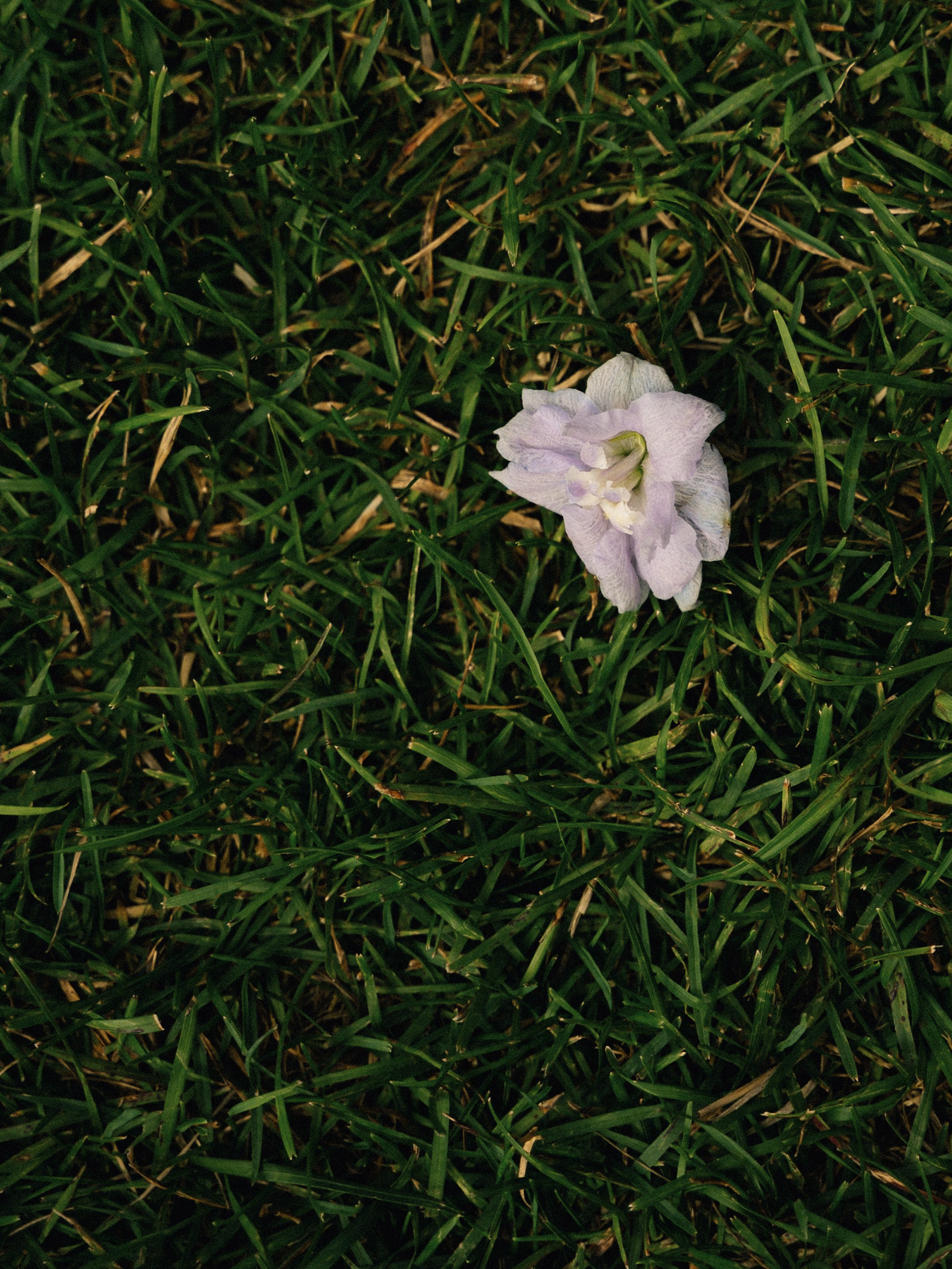 Тая и Артур. Кантри клаб Поляна. Свадебный фотограф Колотовкина Валентина Москва