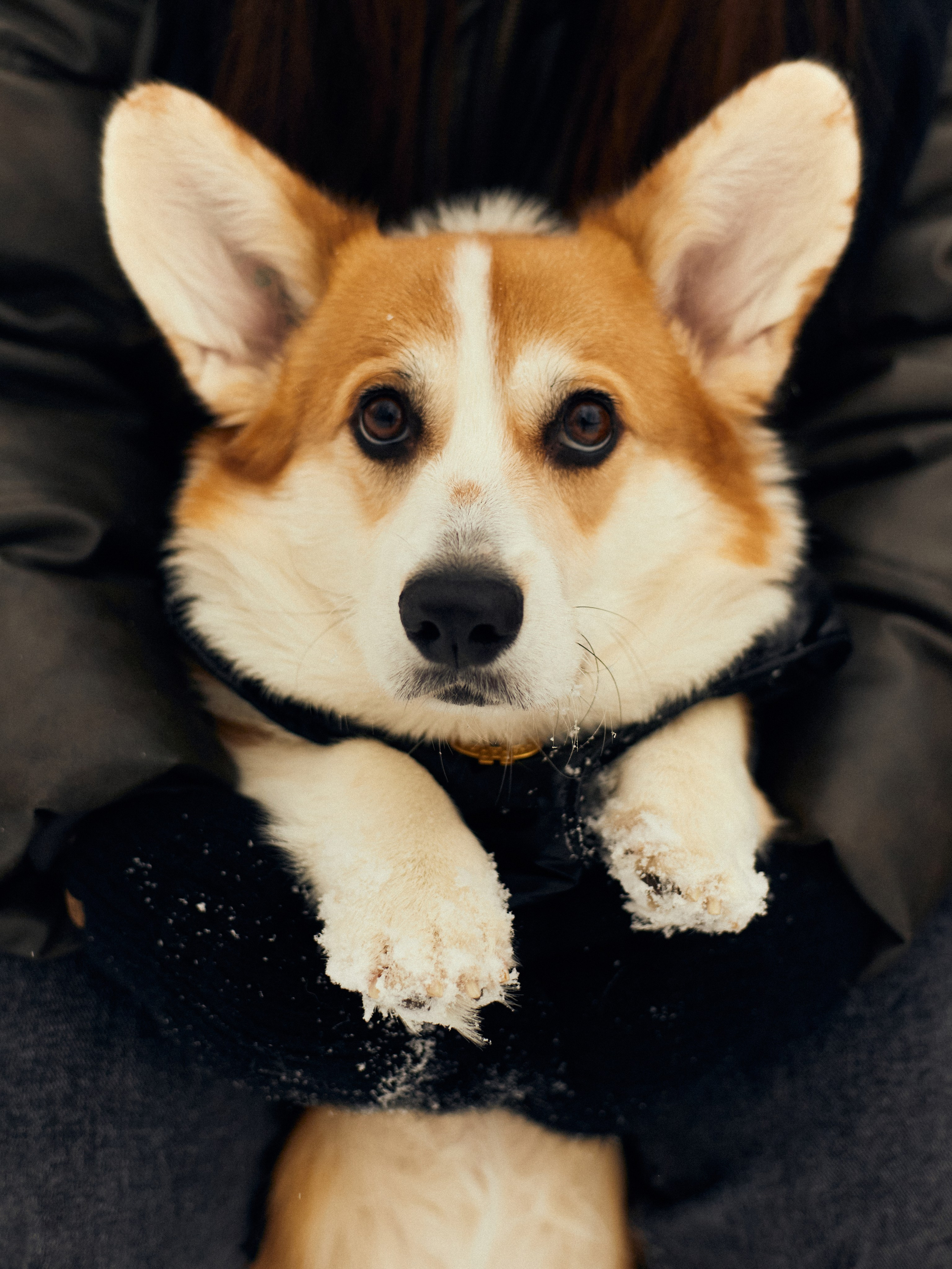 Арина и Динар малыш Рич. Фотограф и видеограф в Бугульме Аня Трутнева